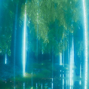gif_300px_50fps_1.gif