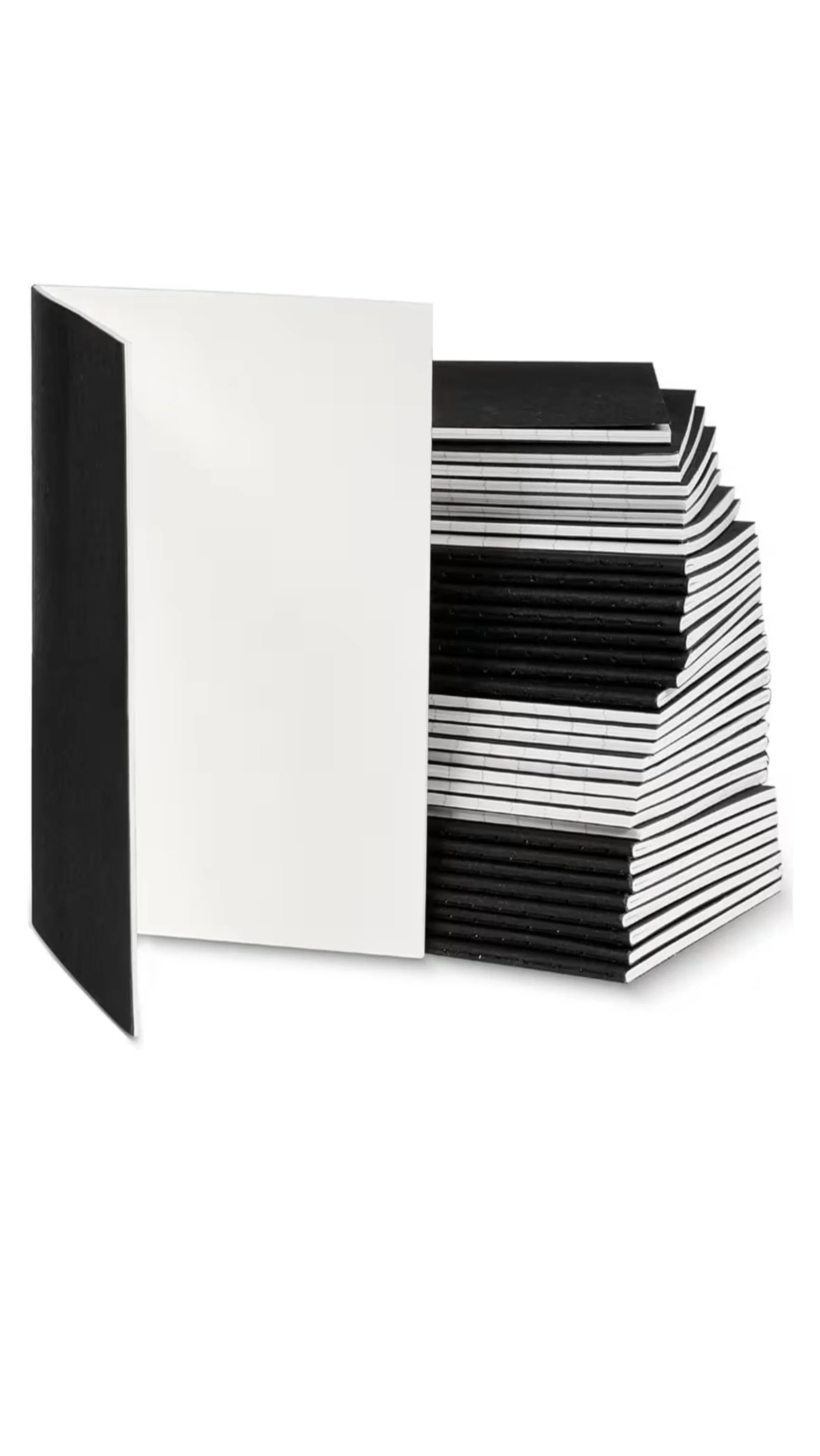 Passport Journal Inserts