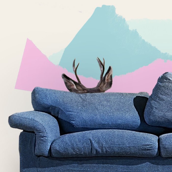 REVIEW | FAUN, Cardboard Citizens