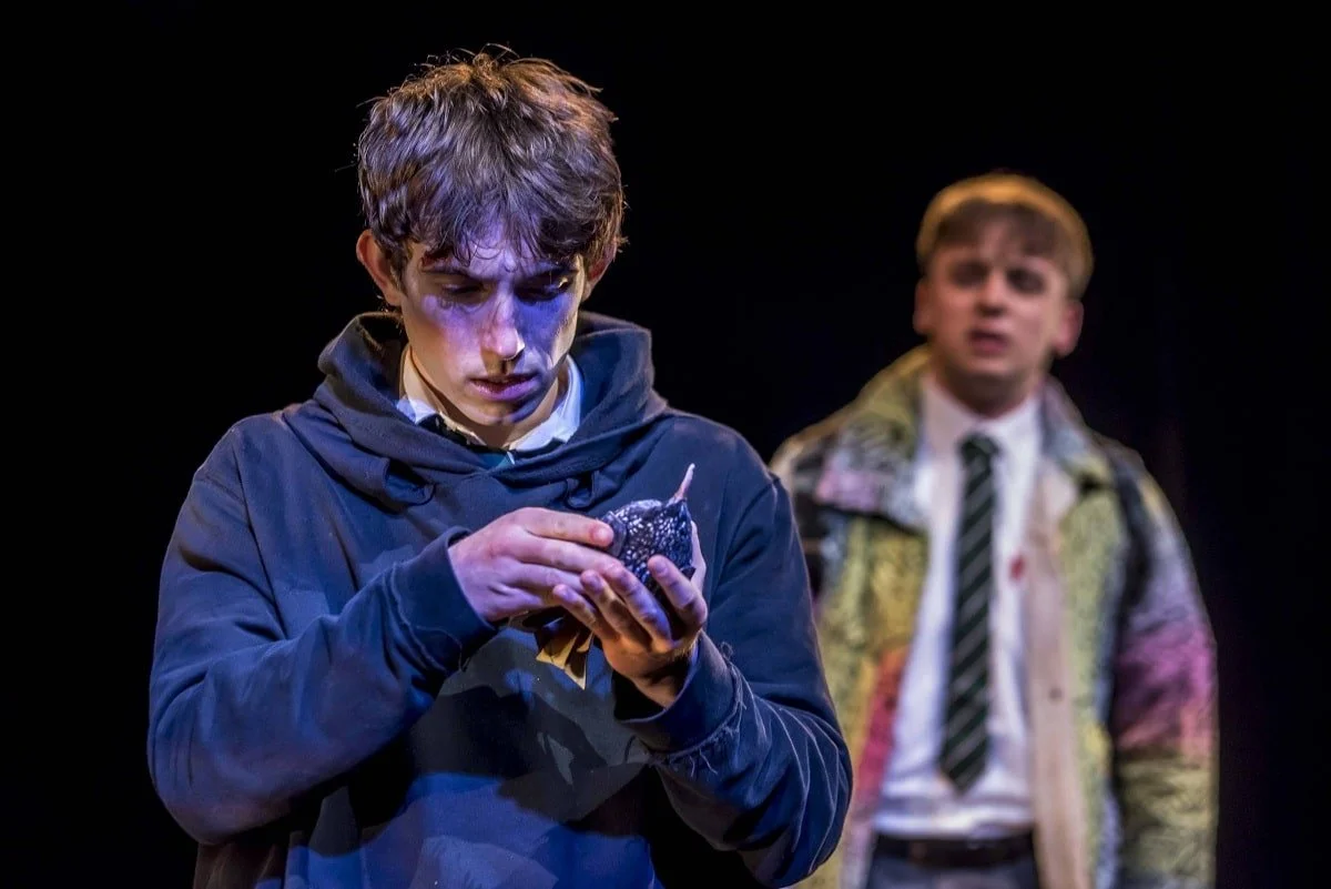 REVIEW | Too Much World At Once, A Box of Tricks Theatre Company&nbsp;