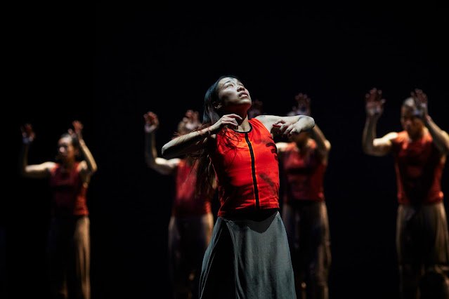 REVIEW | Jungle Book Reimagined - Akram Khan