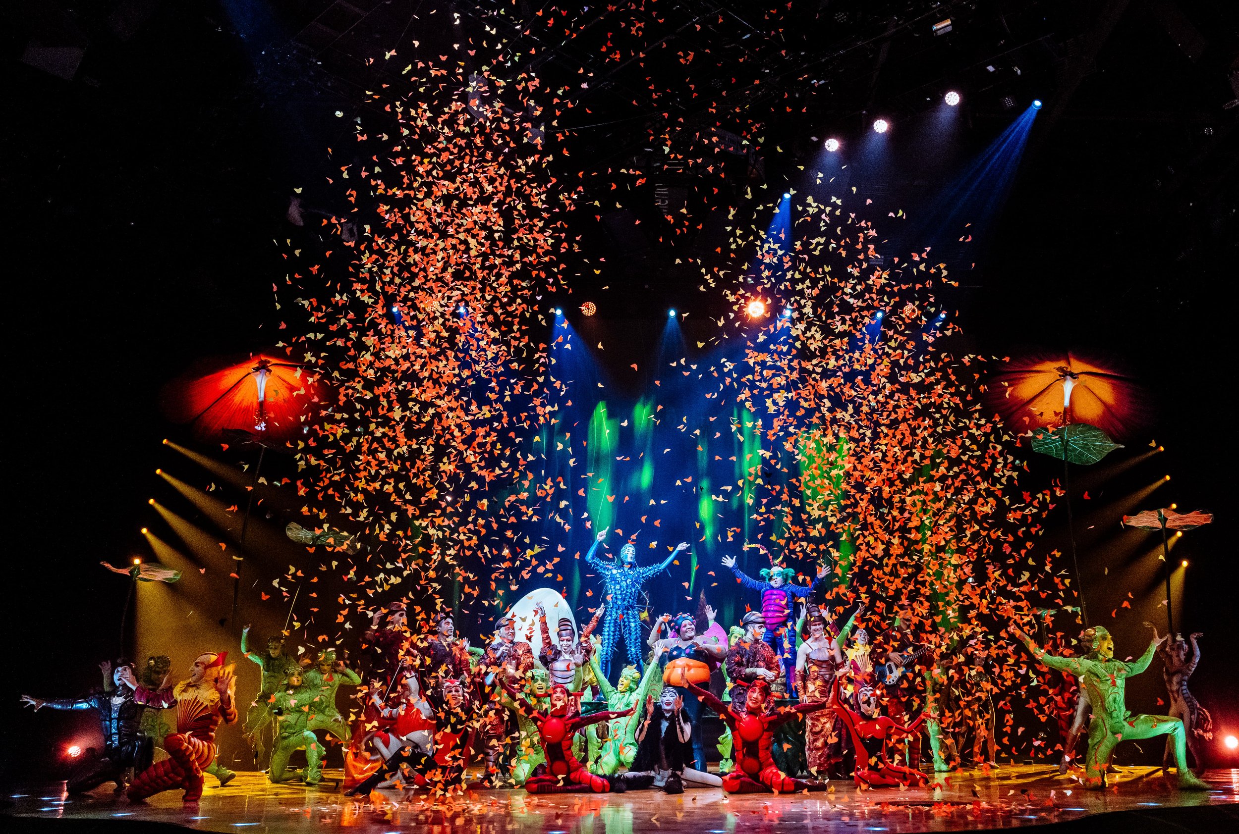 Cirque du Soleil’s OVO at Royal Albert Hall Review (2026)