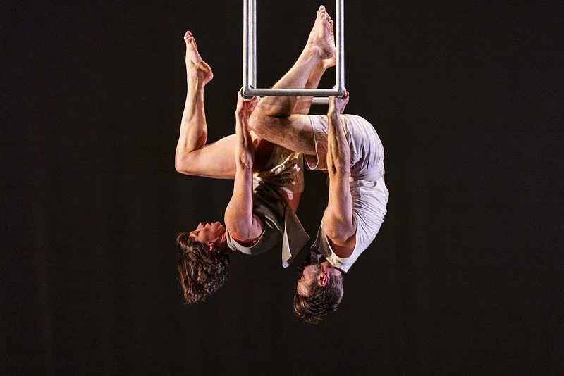 Ockham’s Razor: Collaborator at The Lowry Review