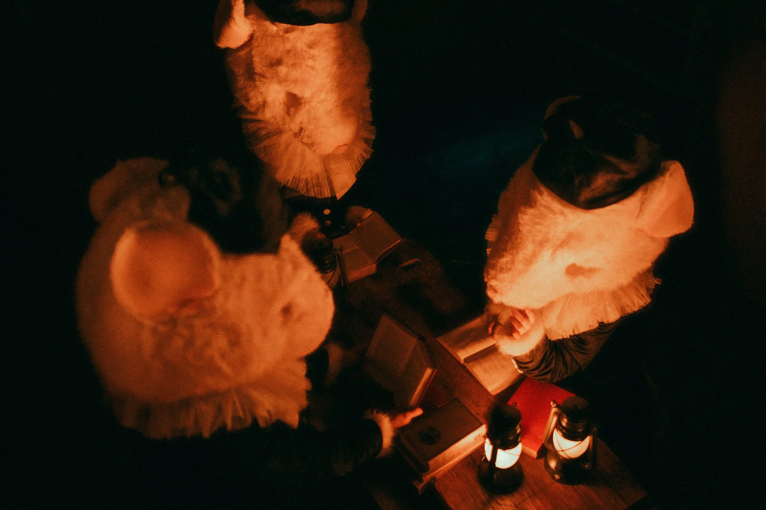 Rat Rat Rat at The Old Operating Theatre Museum Review