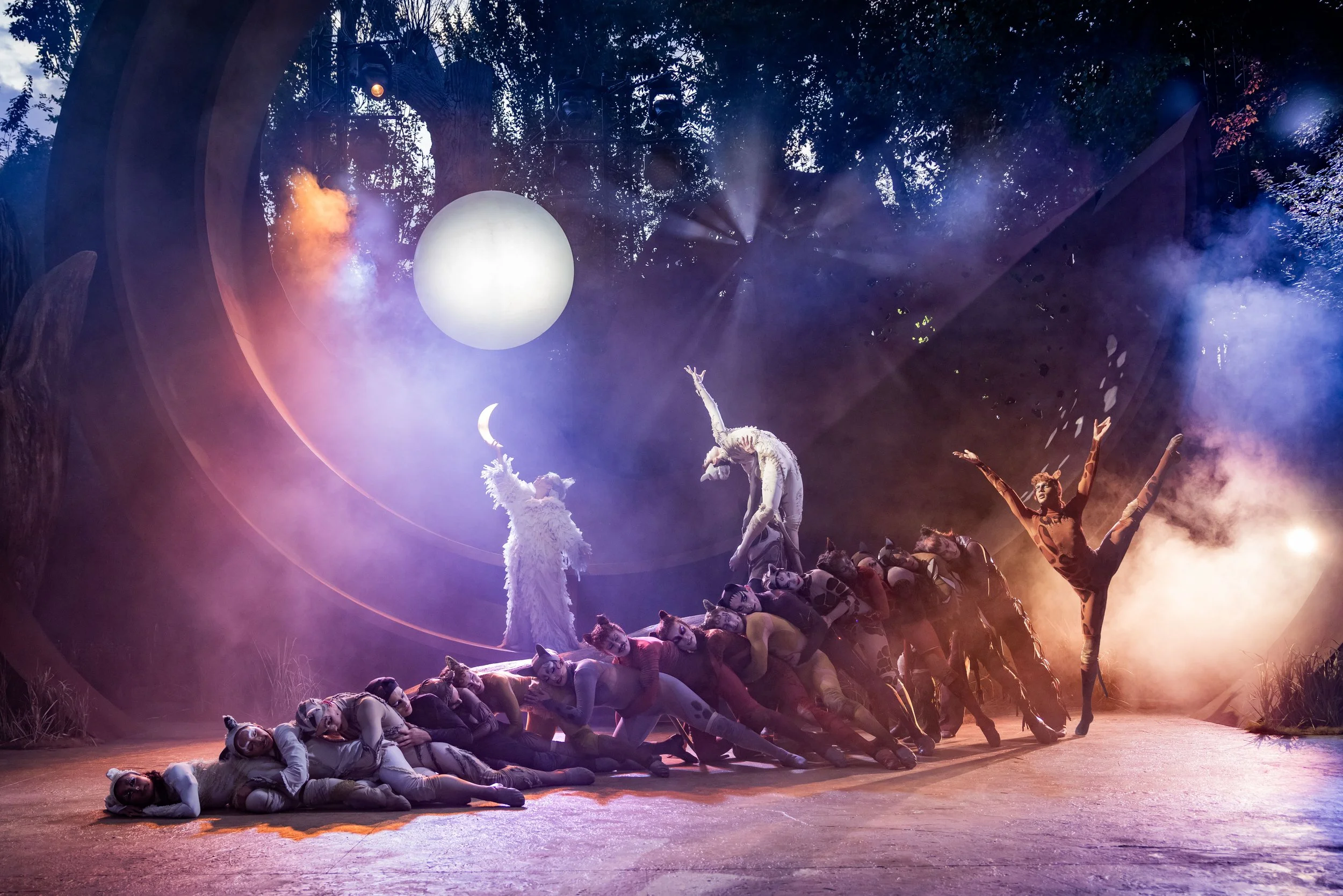 Cast of CATS. Credit Mark Senior-58-Edit.jpg
