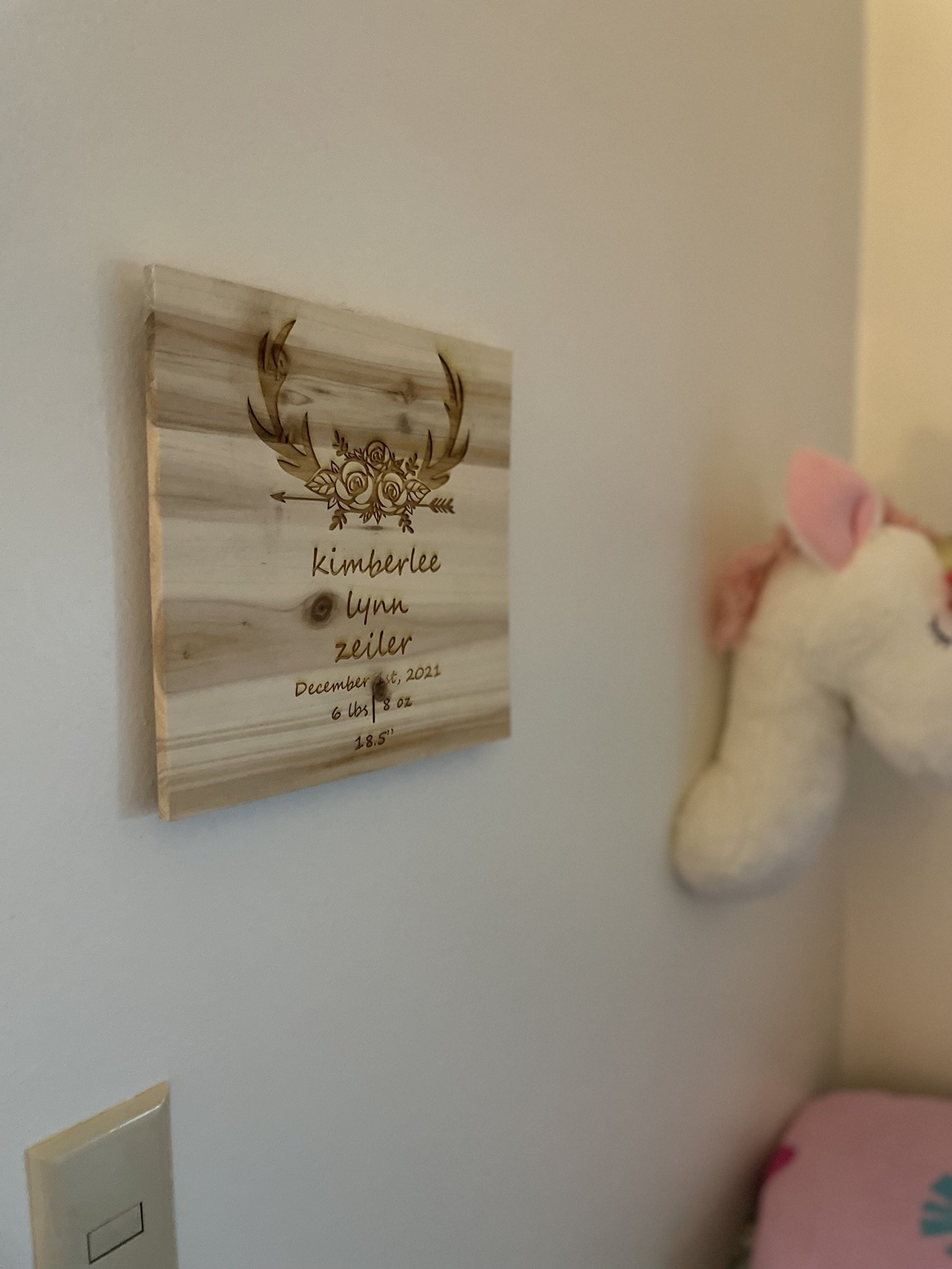 https://i.etsystatic.com/13098007/r/il/3b3723/3601430708/il_fullxfull.3601430708_cqii.jpg