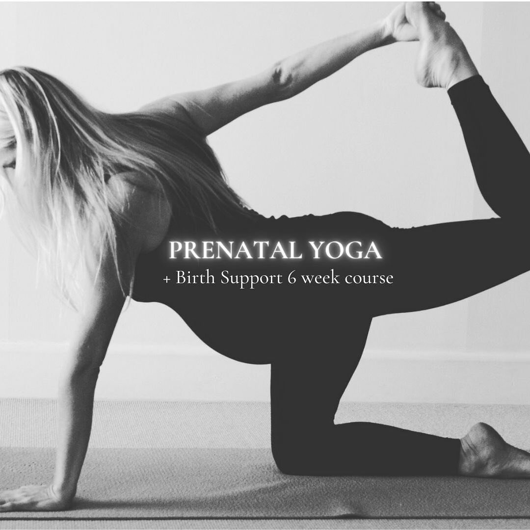 6 week PRENATAL yoga + Birth Support immersion begins January 24th.
Tuesday mornings at 8.30am (both in person + livestream) including a digital portal of supportive practices and all class recordings.

An opportunity to be held in a safe and potent 