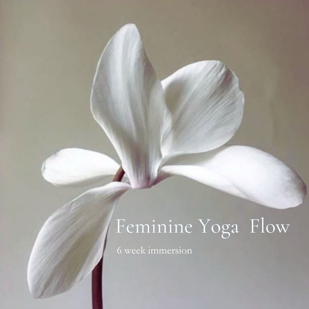 After years of deep diving into my own crafting of feminine yoga, and more recently training in (and deeply embodying) the mystery of Womb Yoga and Womb Healing with @anaotero_desertrose 
I have a beautiful offering to share with those of you feeling
