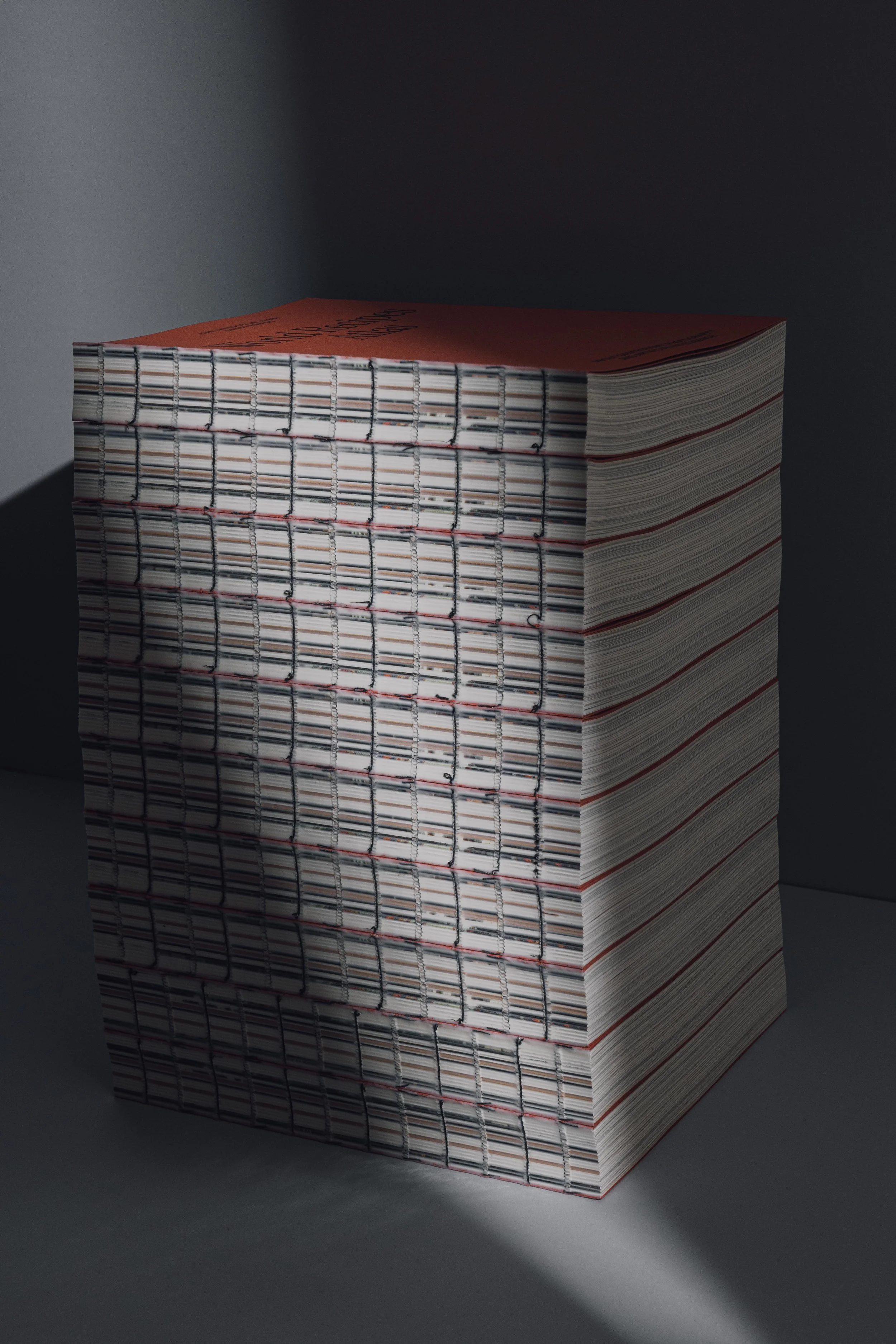 WRA @juanfotojuanfoto FEBRERO 2026-2.jpg