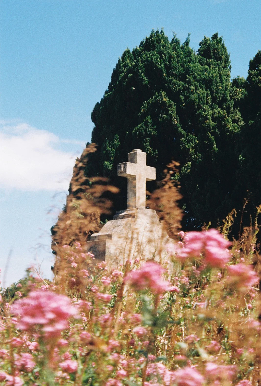 Sin título-365434.jpg