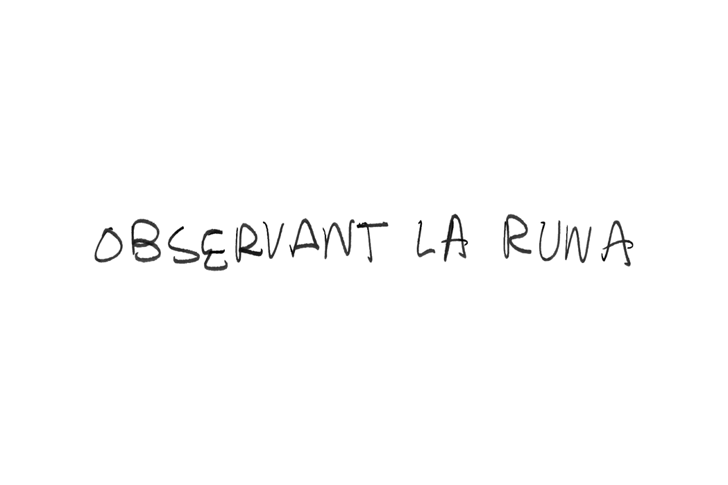observant la runa