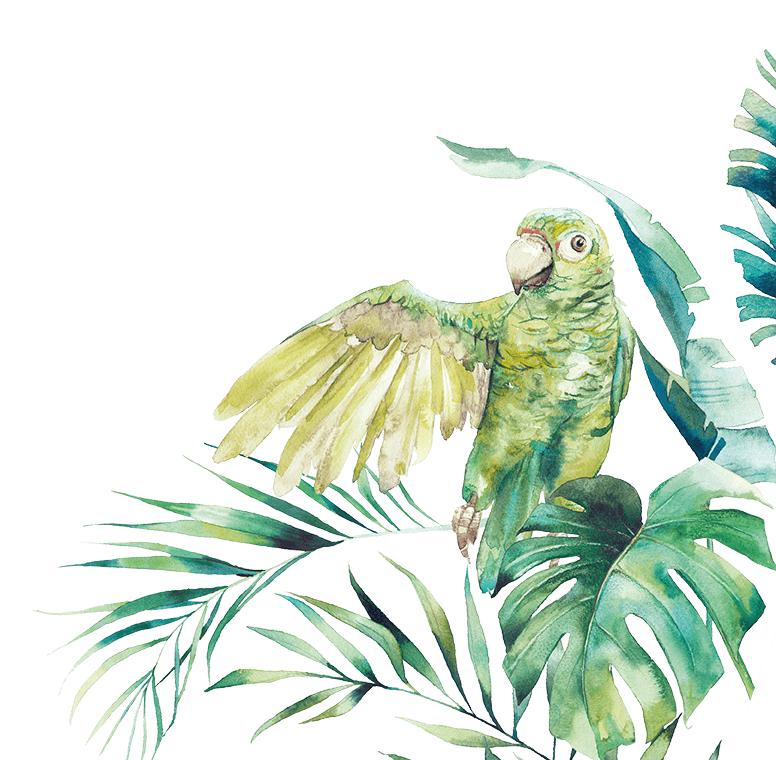 El Paseo Parrot and Monstera painting