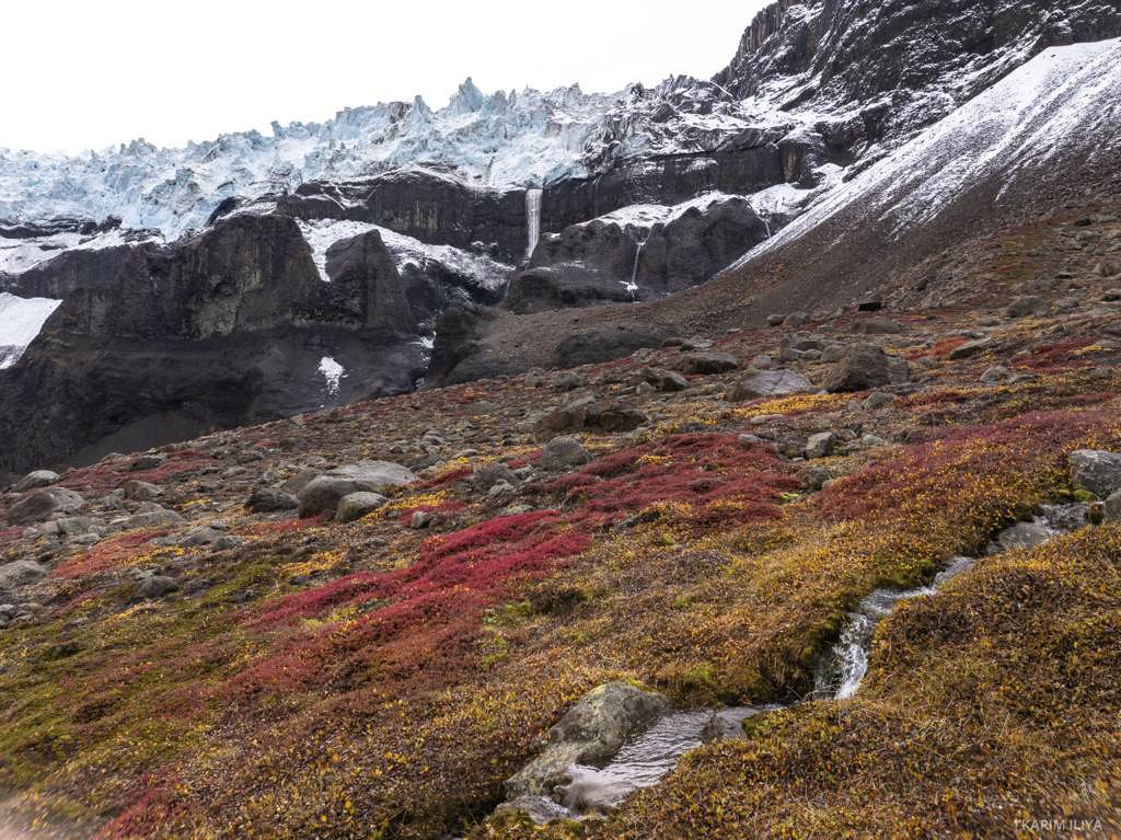 WhatsApp Image 2026-03-12 at 18.25.44 (2).jpg