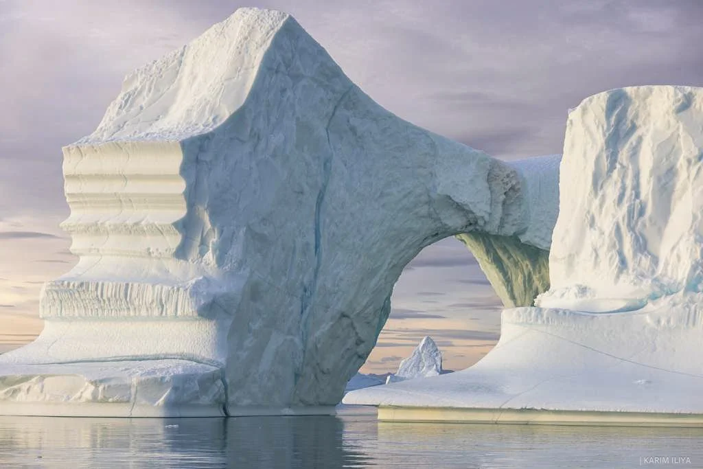 WhatsApp Image 2026-03-12 at 18.25.42 (1).jpg