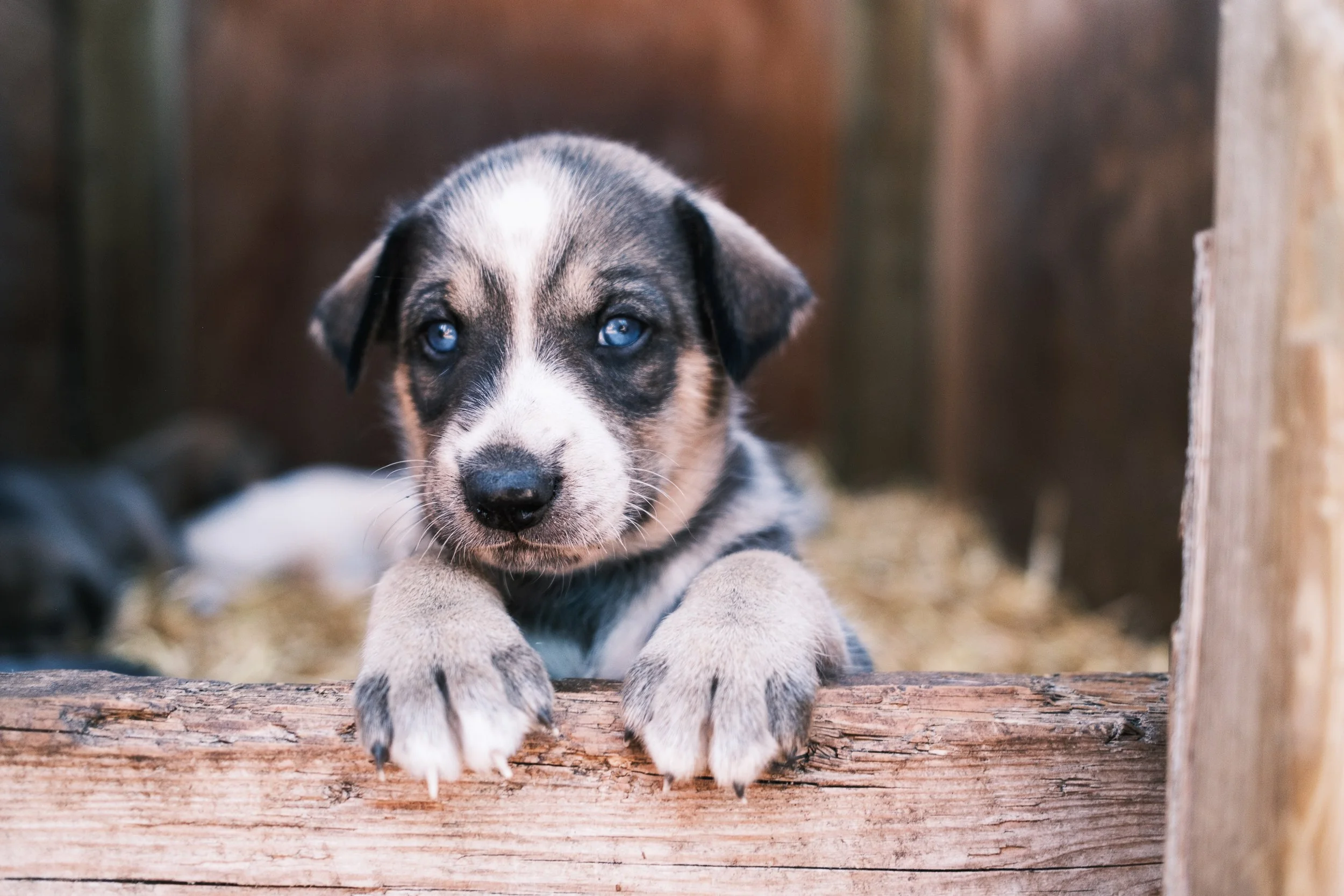 20260729-1202-KARIM-ILIYA-FUJI-5588.jpg