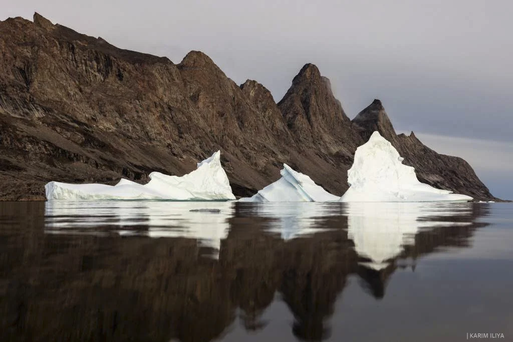 WhatsApp Image 2026-03-12 at 18.25.44.jpg