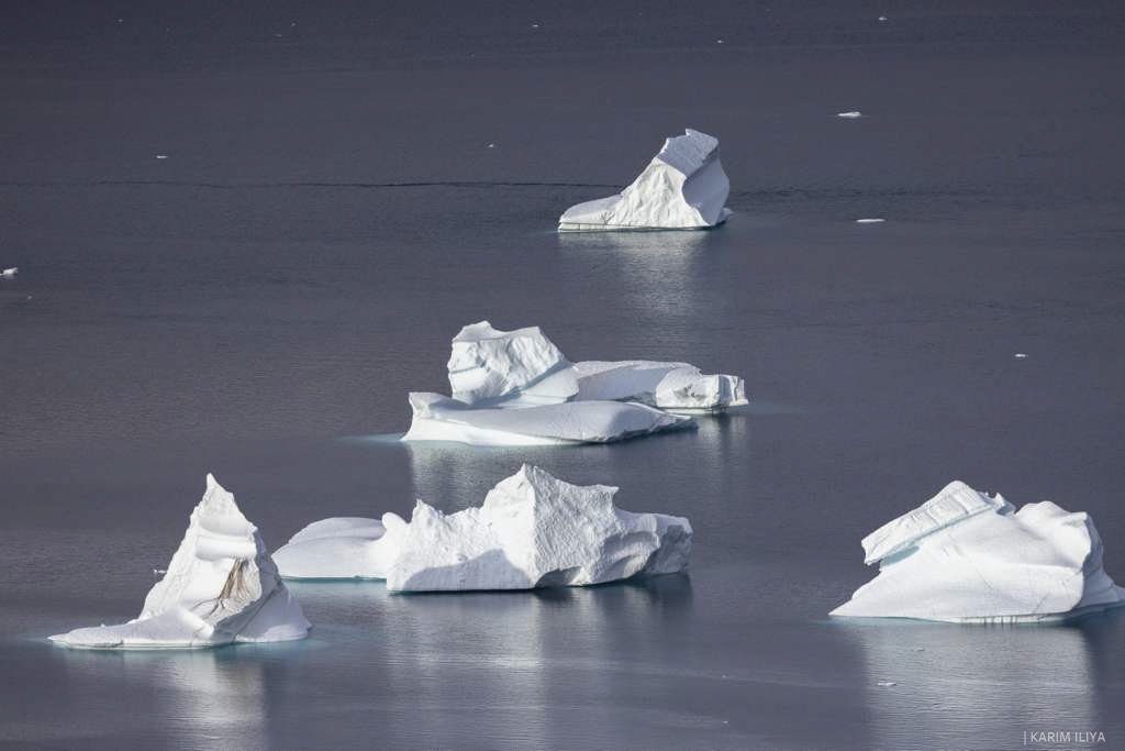 WhatsApp Image 2026-03-12 at 18.25.43 (3).jpg