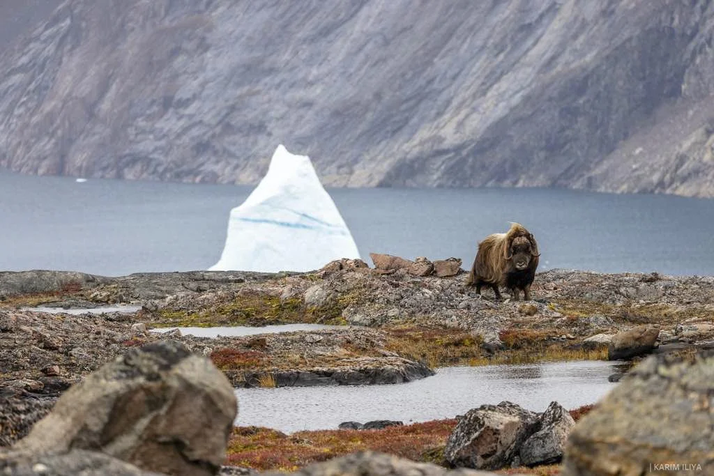 WhatsApp Image 2026-03-12 at 18.25.41 (1).jpg