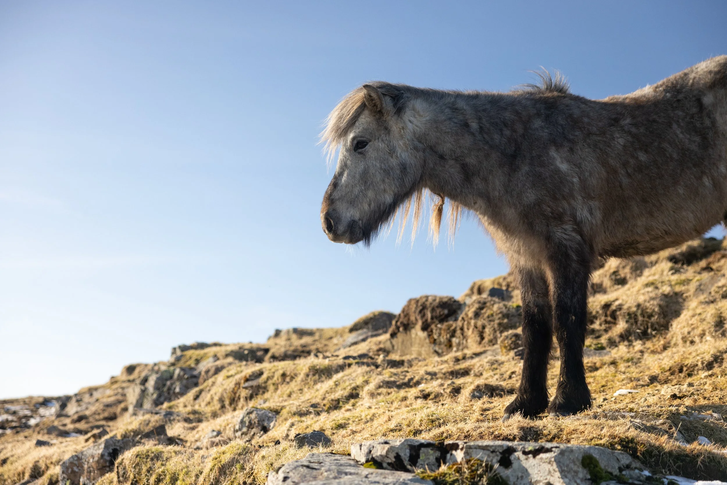 5 - 20250311-1520-KARIM-ILIYA-0219.jpg