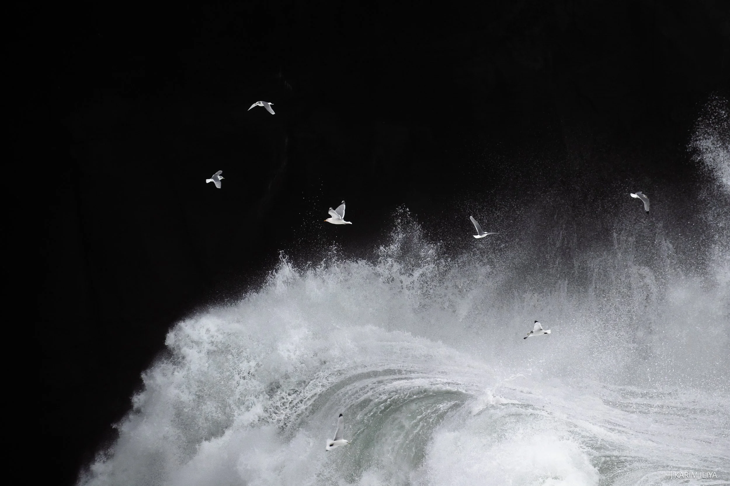 20220227-KARIM-ILIYA-9984 copy.jpg