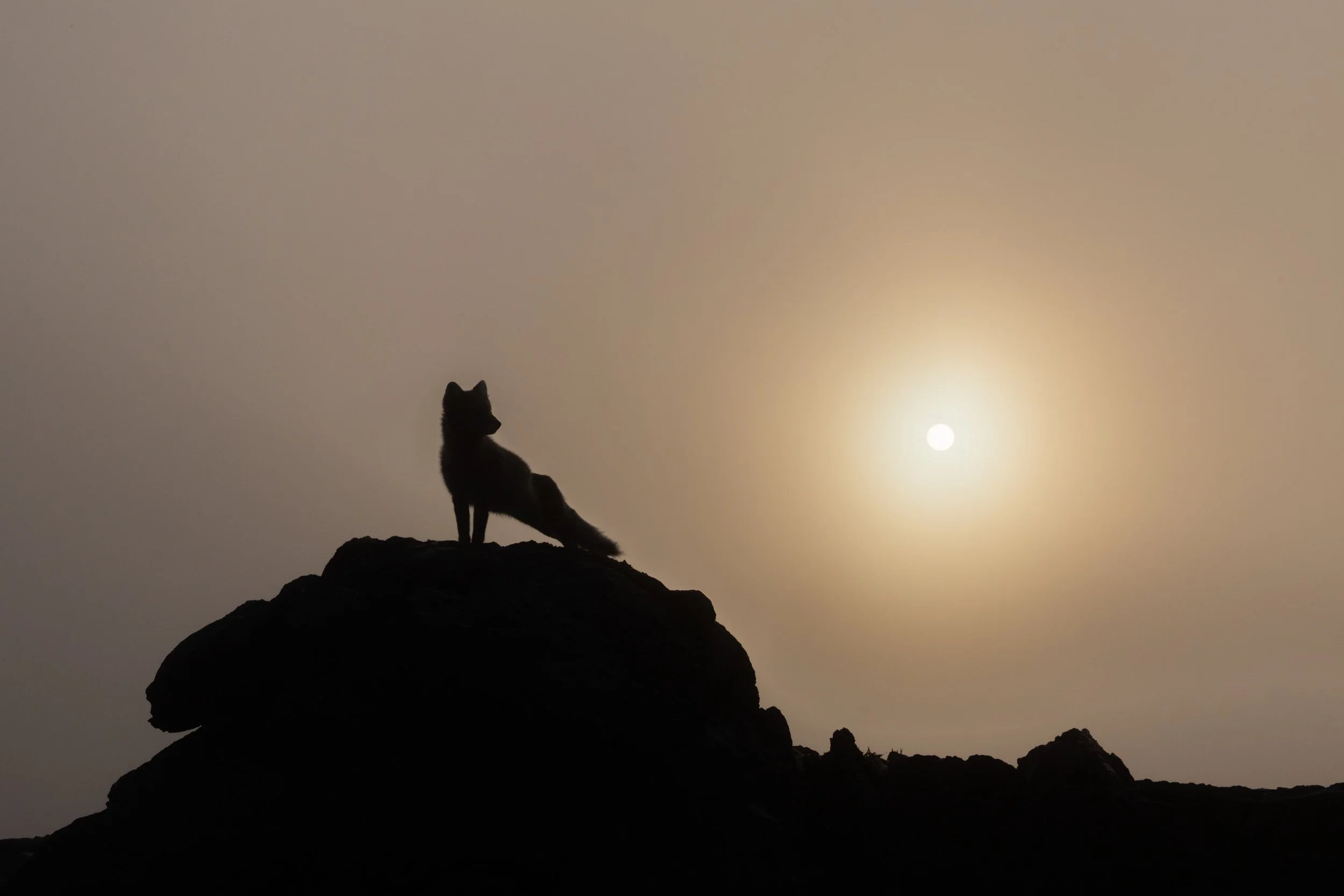 3- 20240807-2104-KARIM-ILIYA-1136.jpg