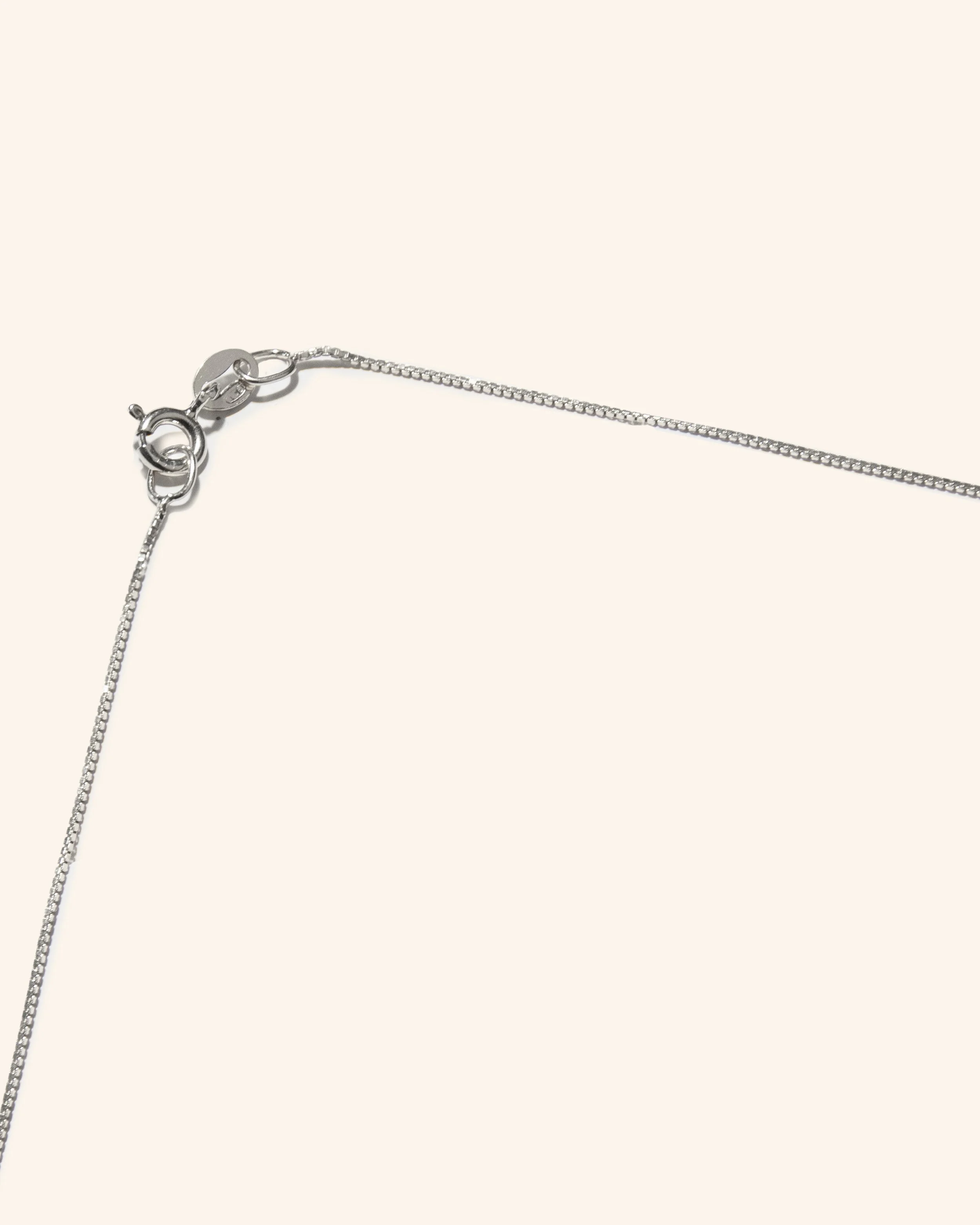 Cadena fina larga plata