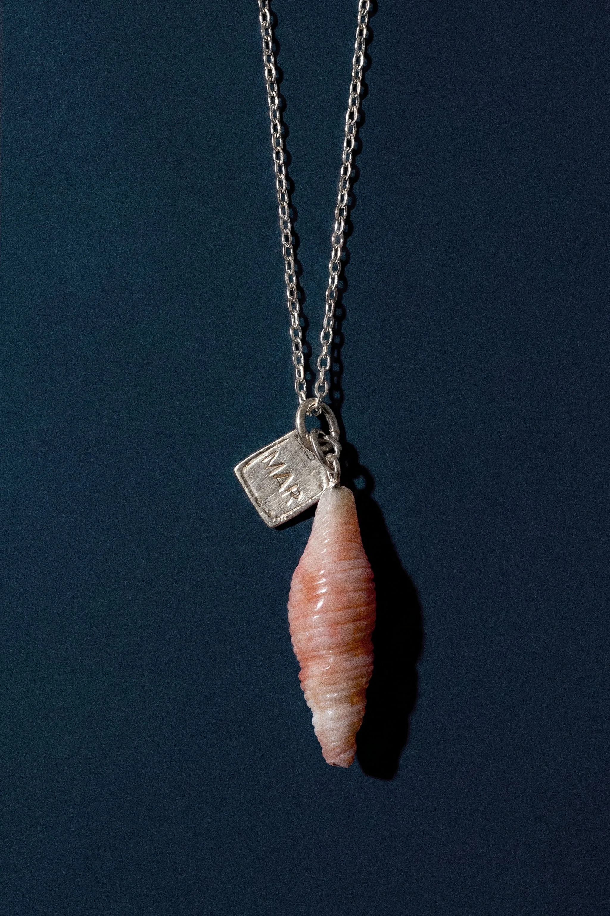 Caracola plata