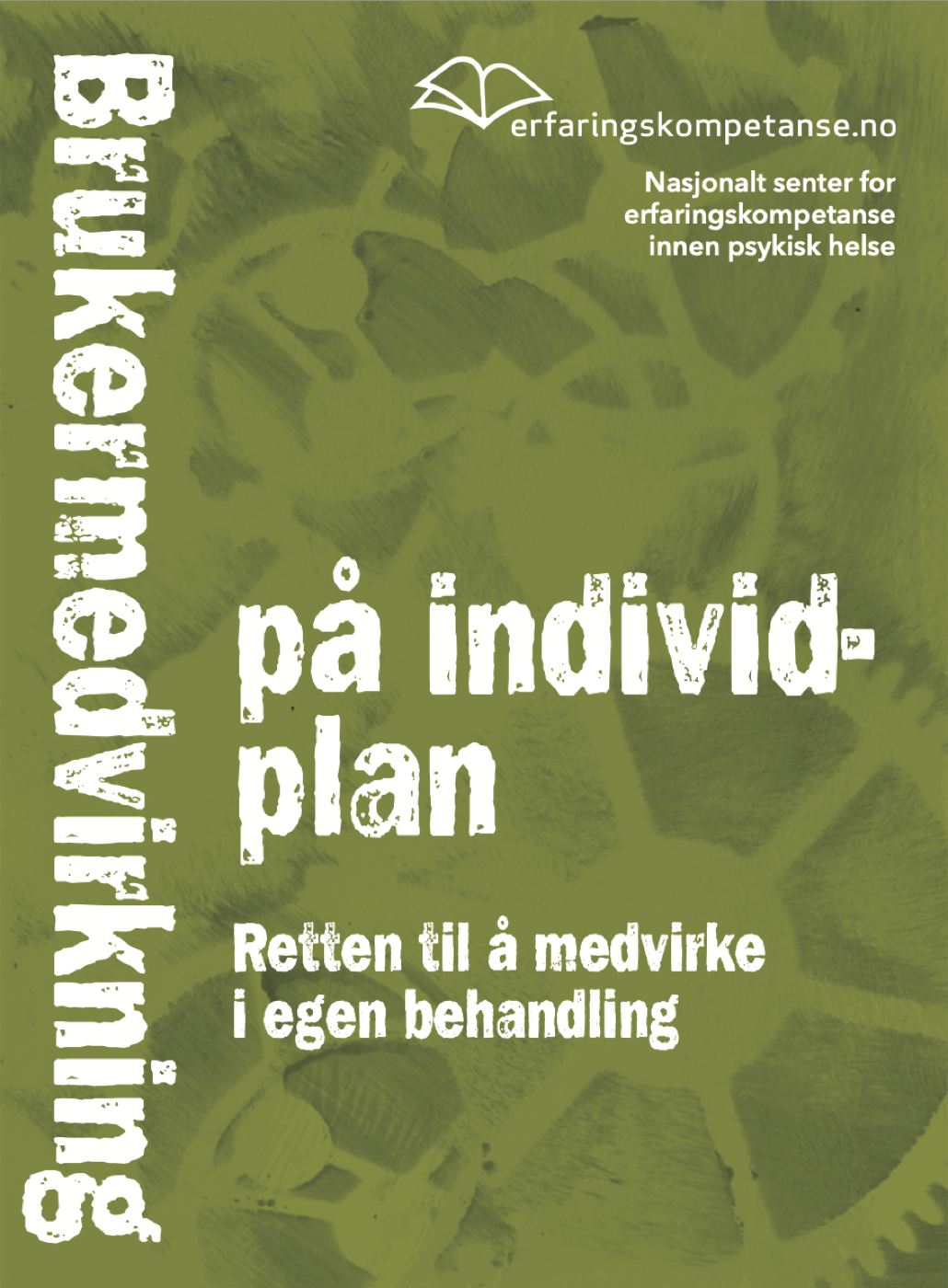Brukermedvirkning på individnivå