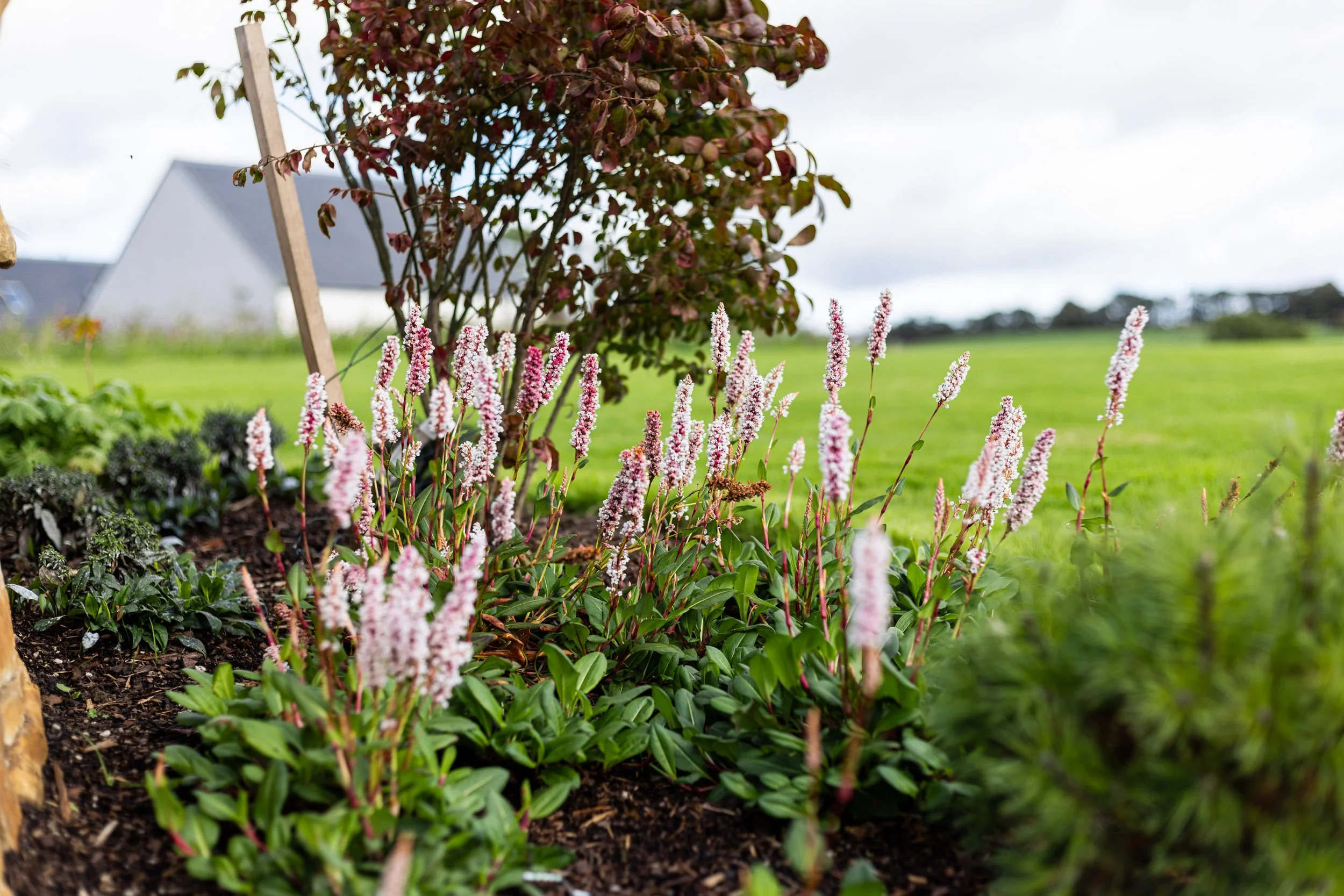 waterston-dunfermline-093.jpg