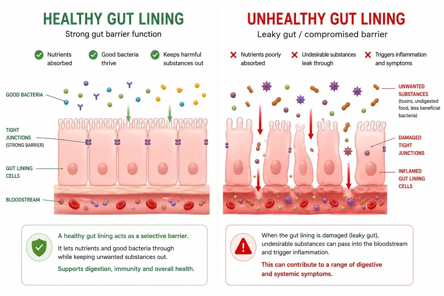 As a Gut Health Specialist why I don't always blame the food