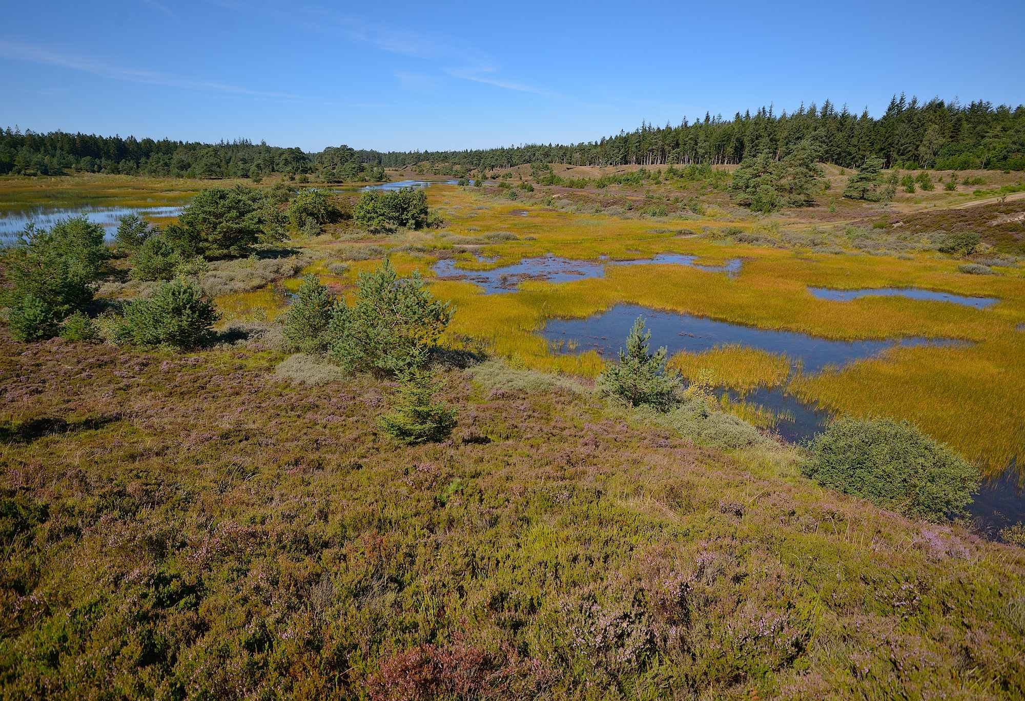 Syvårssøerne sommer.jpg