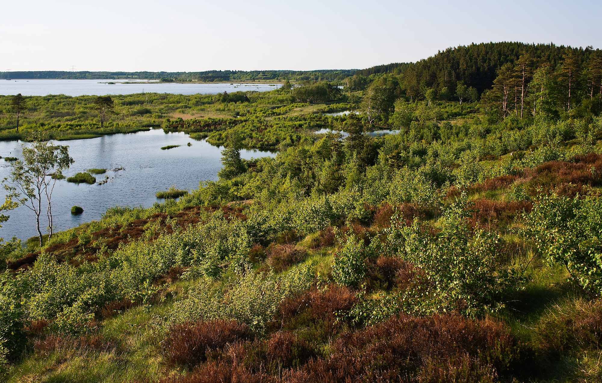 Bøllingsø 2.jpg