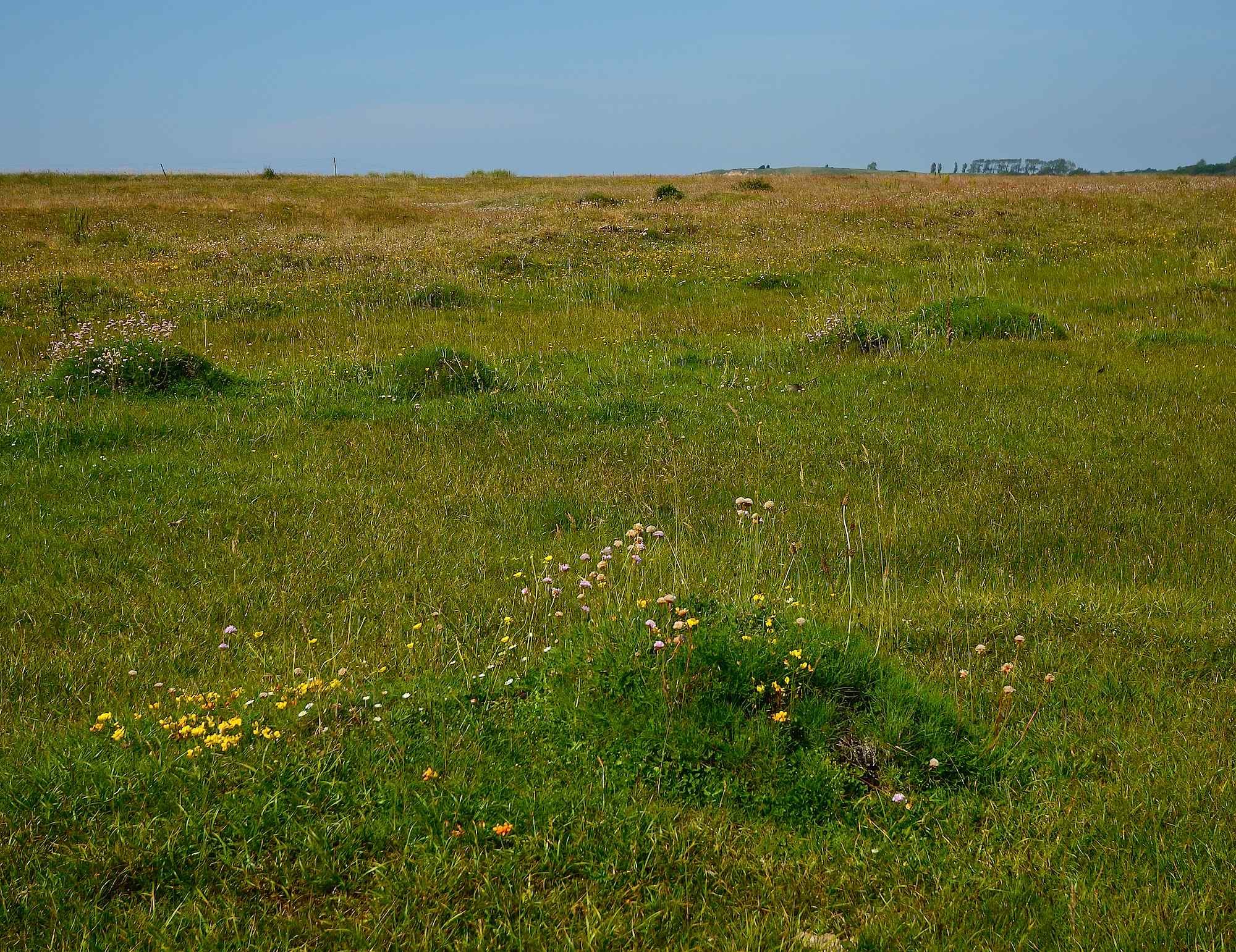 Helnæs made 1.jpg
