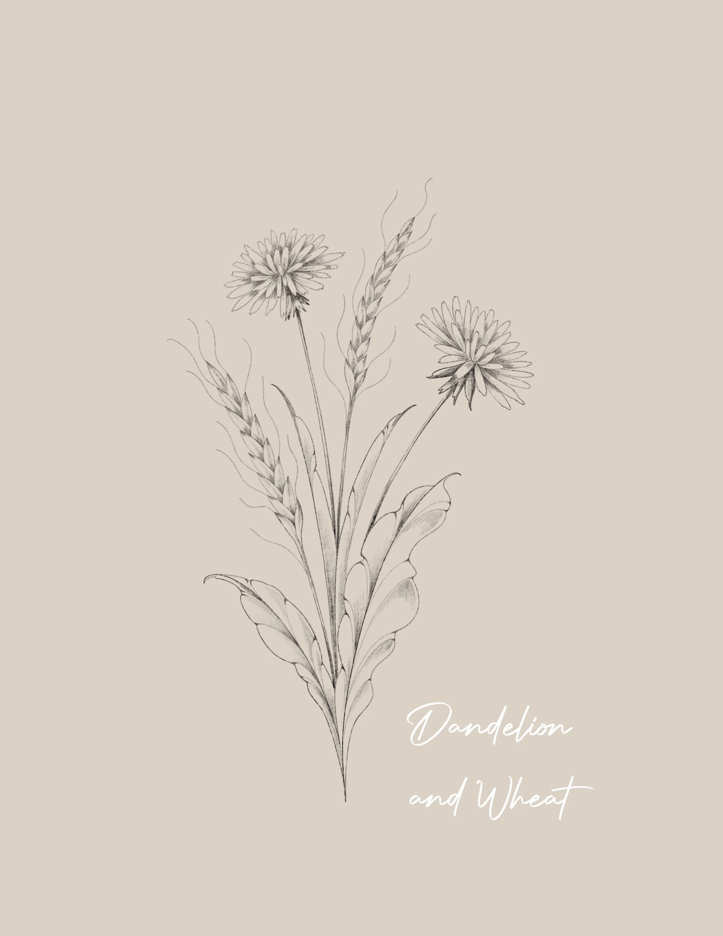 A minimalist black and white line drawing of two dandelions and a wheat stalk, Fineline & Botanical Tattoo Design Concept at Inkwaves tattoo Studio
