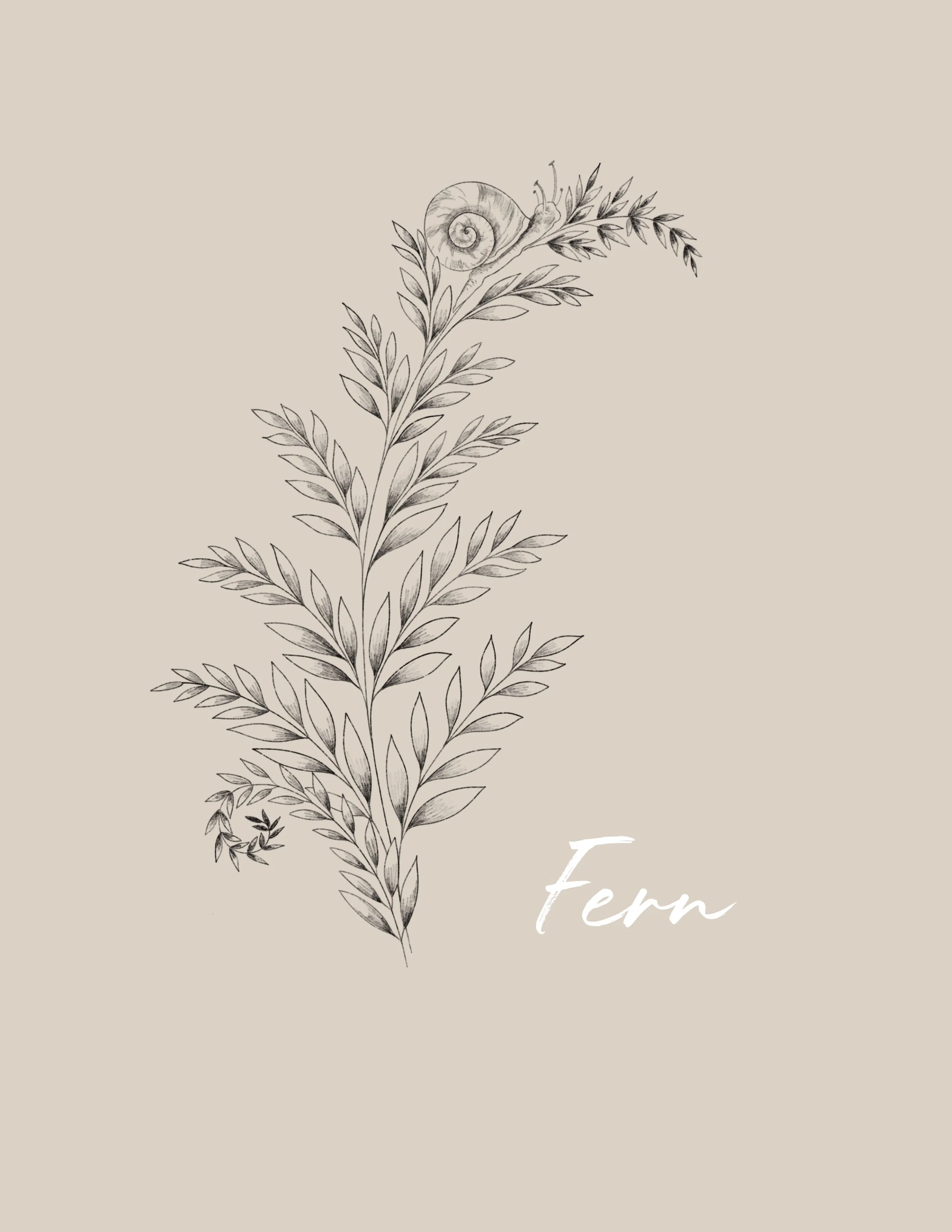 A botanical illustration of a plant with multiple branches and leaves, featuring a snail on one of the branches. Fineline & Botanical Tattoo Design Concept at Inkwaves tattoo Studio