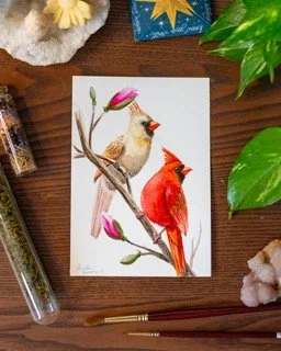 A bird and a cardinal perched on a flowering branch, with a gift box and green leaves nearby.