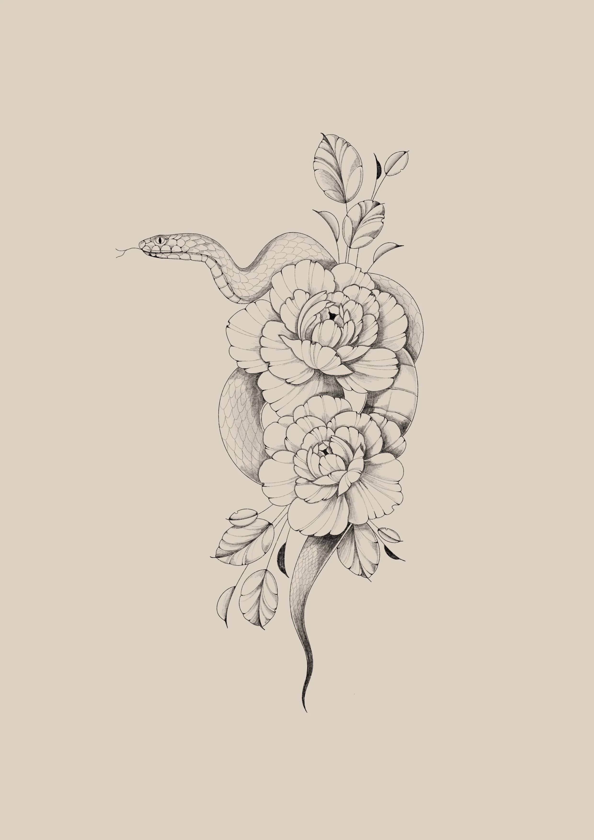 A black-and-white drawing of a snake intertwined with large peony flowers and leaves on a plain beige background.