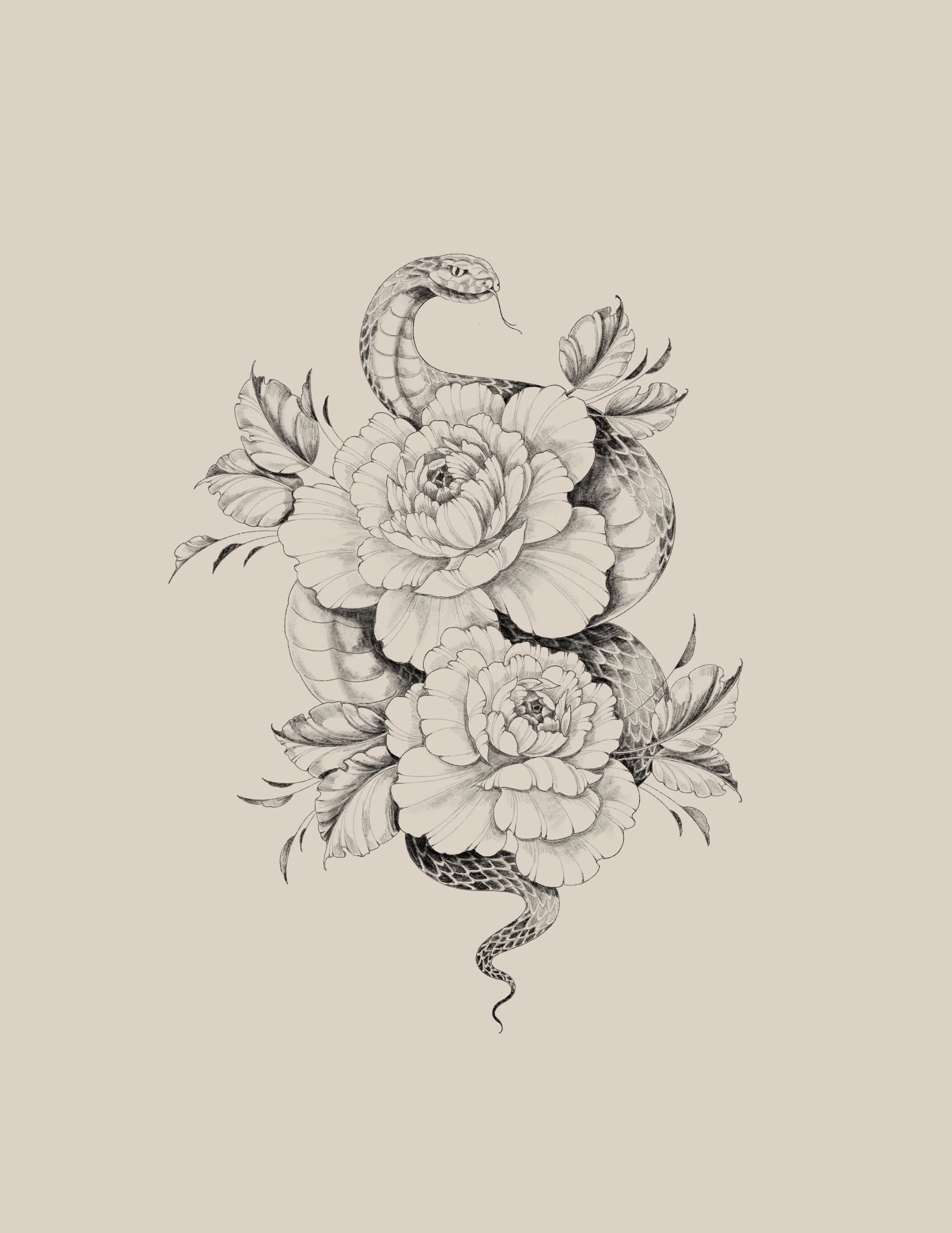 A detailed black and white drawing of a snake coiled around large peonies with intricate shading and fine lines, set against a plain beige background.