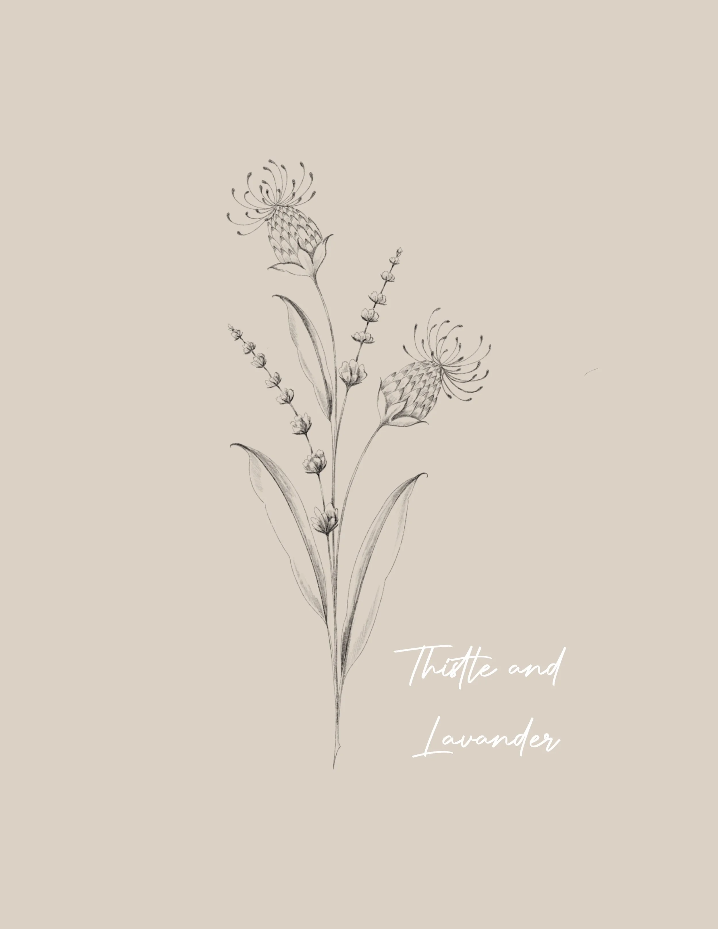 A delicate sketch of a lavender flower - Fineline & Botanical Tattoo Design Concept at Inkwaves tattoo Studio