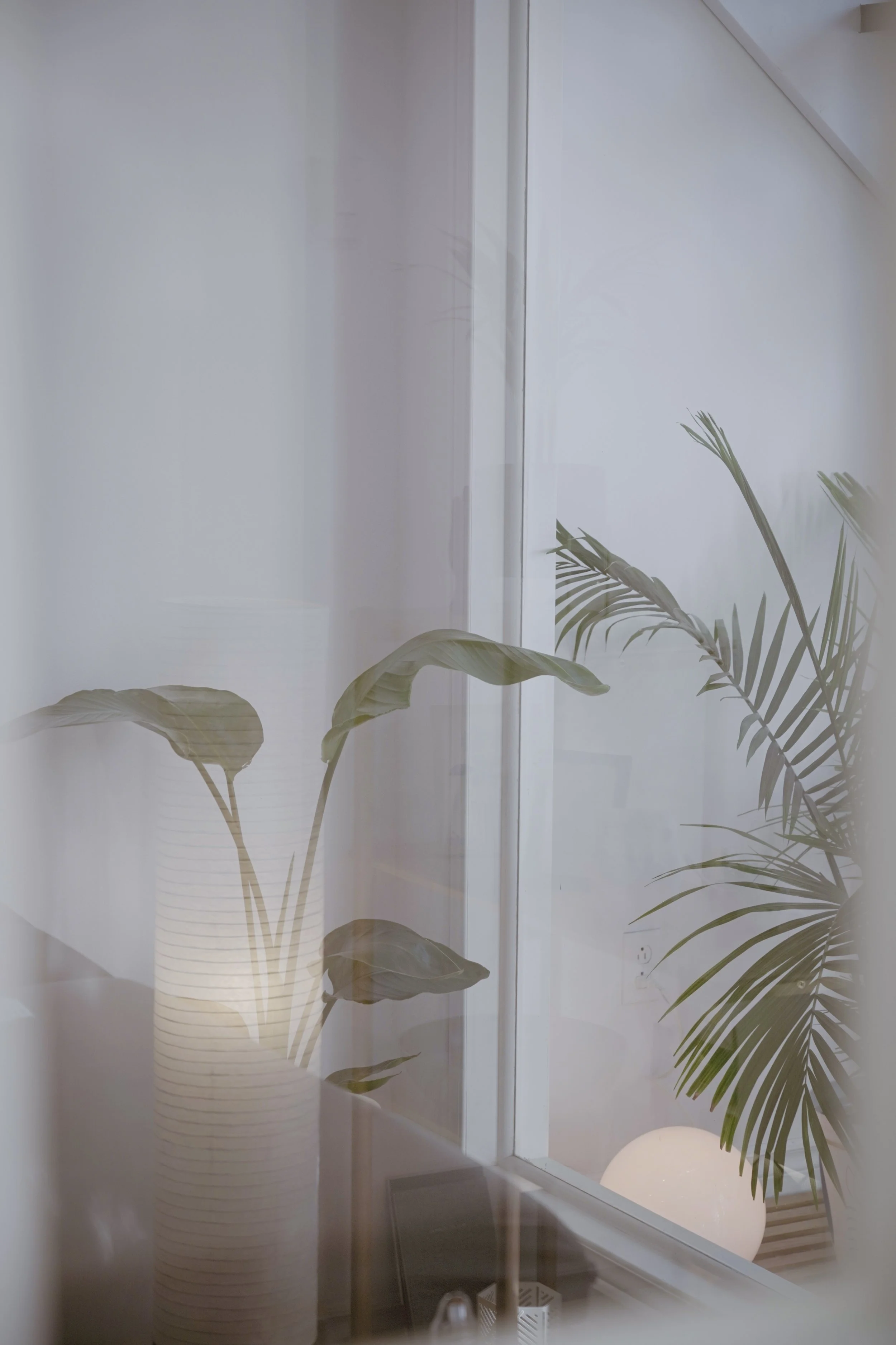 Interior view through a glass door showing large potted plants with broad leaves, a round lamp, and a white wall with a faint reflection of the room.