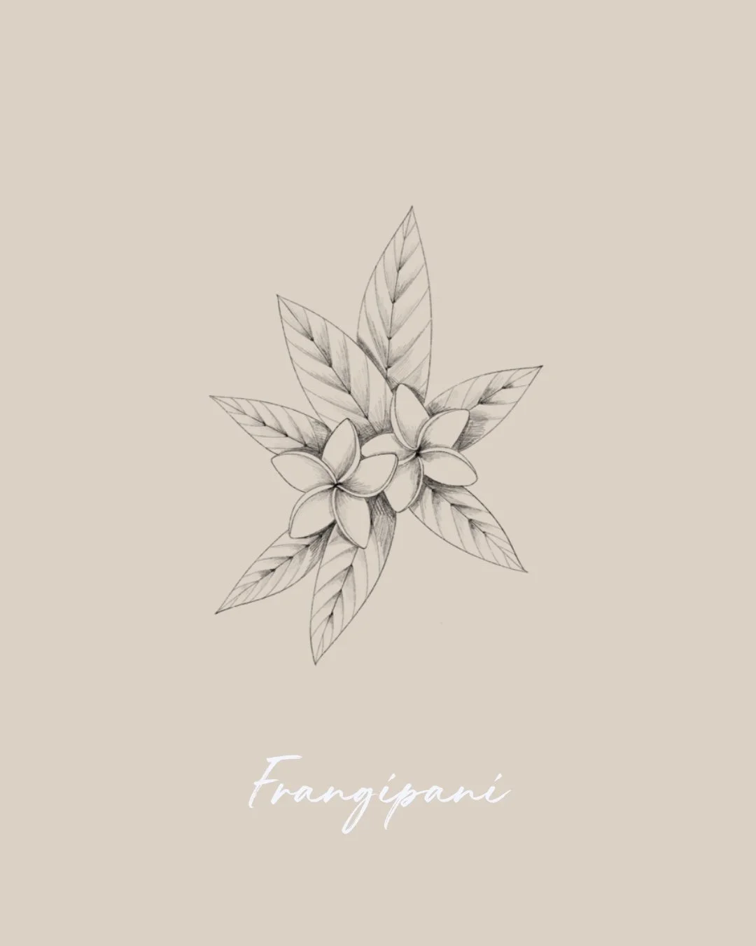 Sketch of a branch with leaves and flowers, Fineline & Botanical Tattoo Design Concept at Inkwaves tattoo Studio