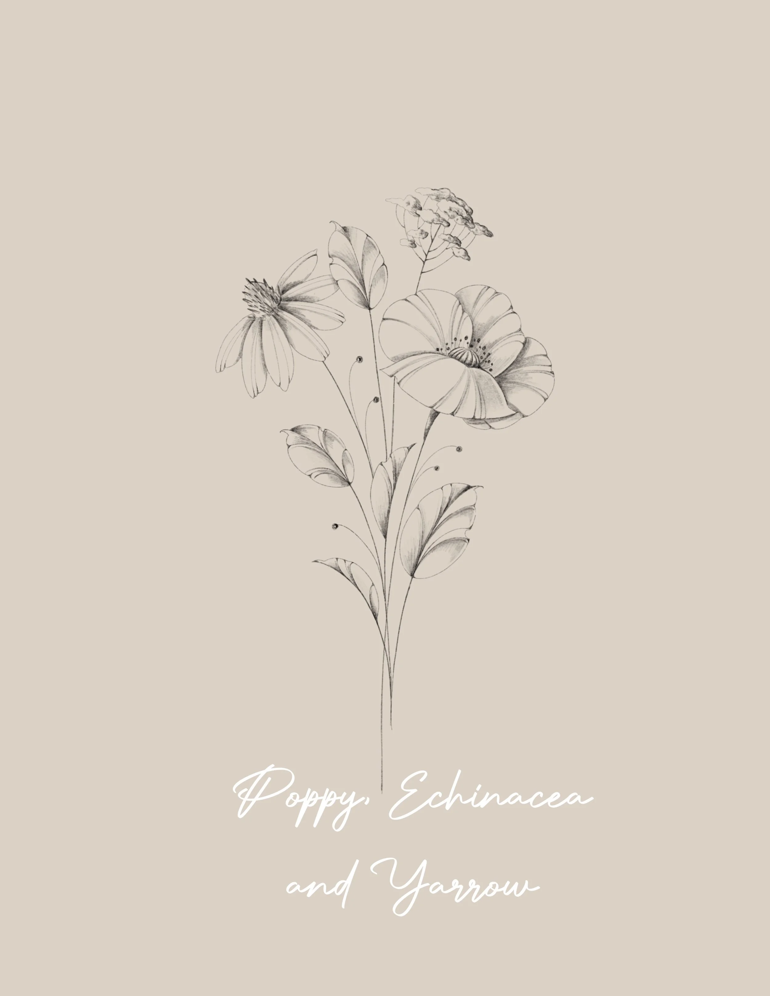A beige background with a black and white sketch of a flower arrangement featuring various flowers and leaves. Fineline & Botanical Tattoo Design Concept at Inkwaves tattoo Studio