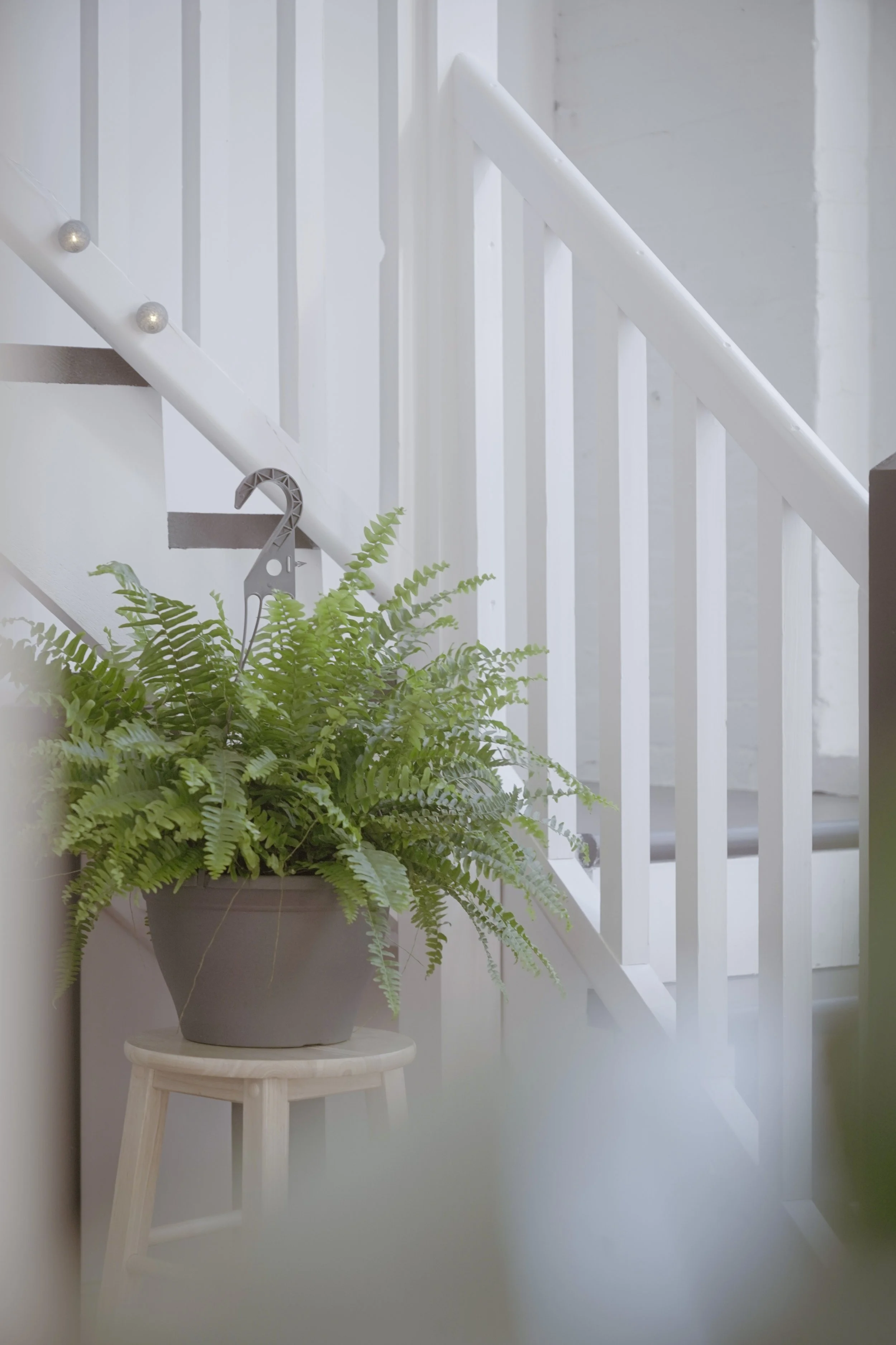 A potted fern plant on a small round wooden stool in front of a white staircase with a white railing and string lights.