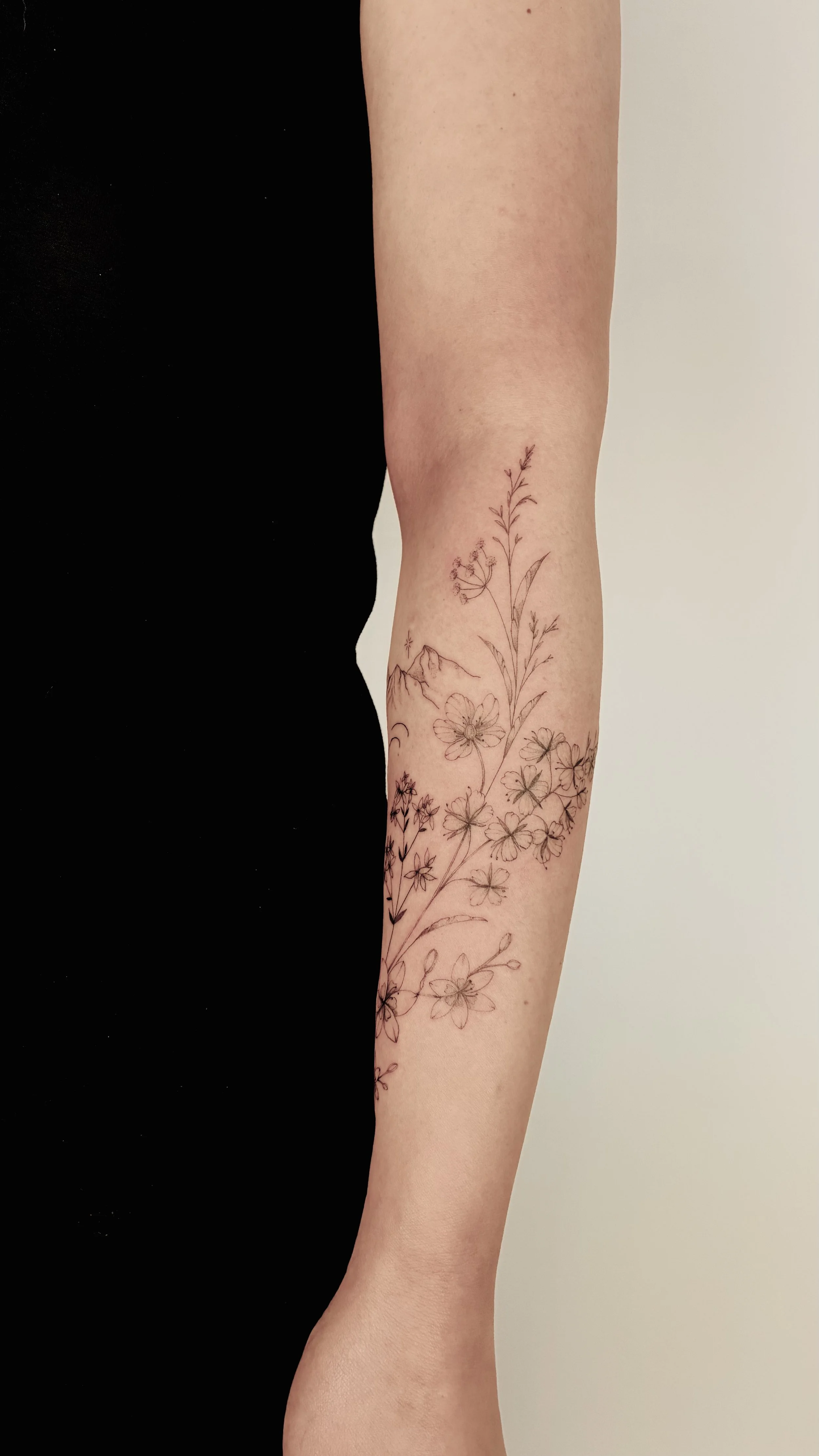A fineline botanical tattoo at Inkwaves Studio