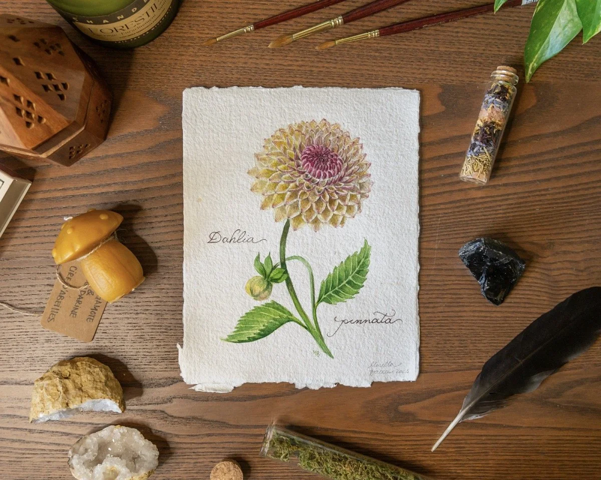 A watercolor botanical illustration of a dahlia flower on textured paper, surrounded by crystals, stones, candles, and natural objects on a wooden surface.
