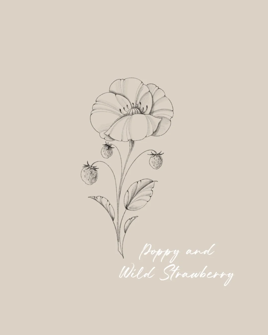 A line drawing of a flowering plant with a large flower at the top, three strawberries hanging from the stem, and leaves. Fineline & Botanical Tattoo Design Concept at Inkwaves tattoo Studio