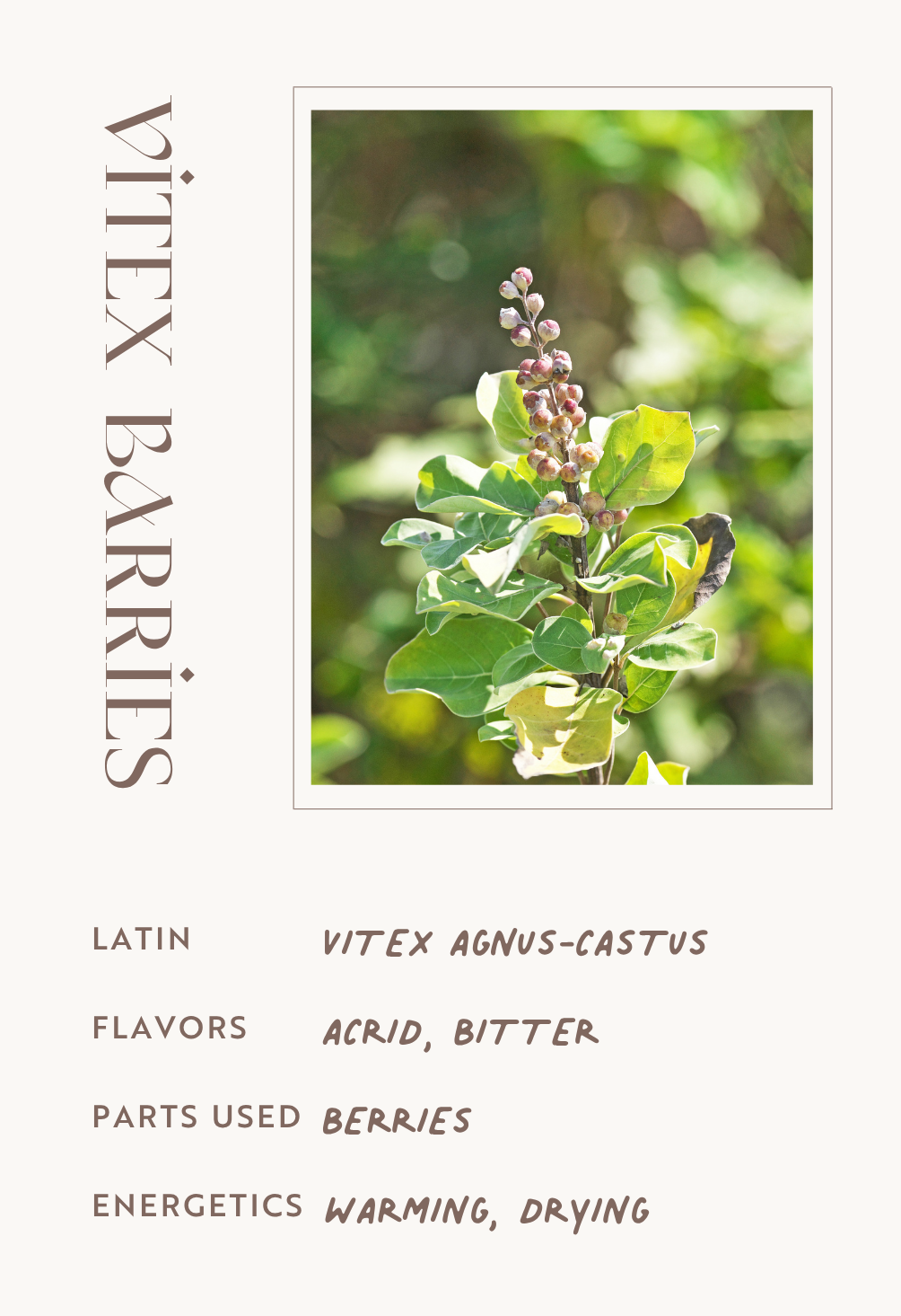 Vitex Berries