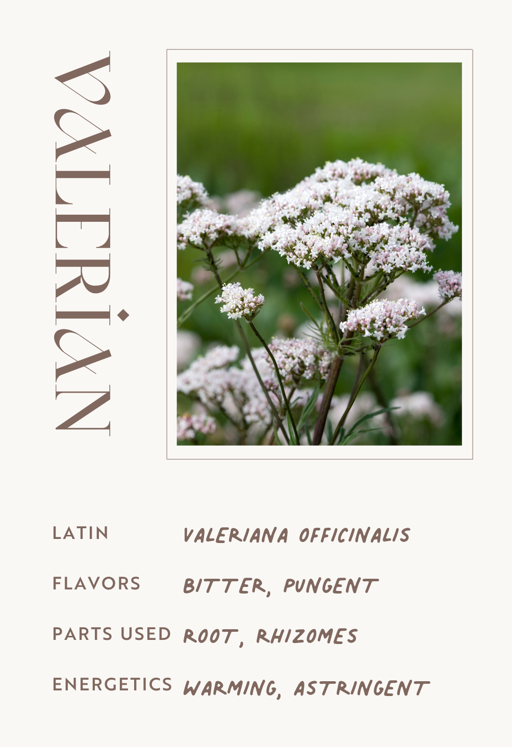 Valerian