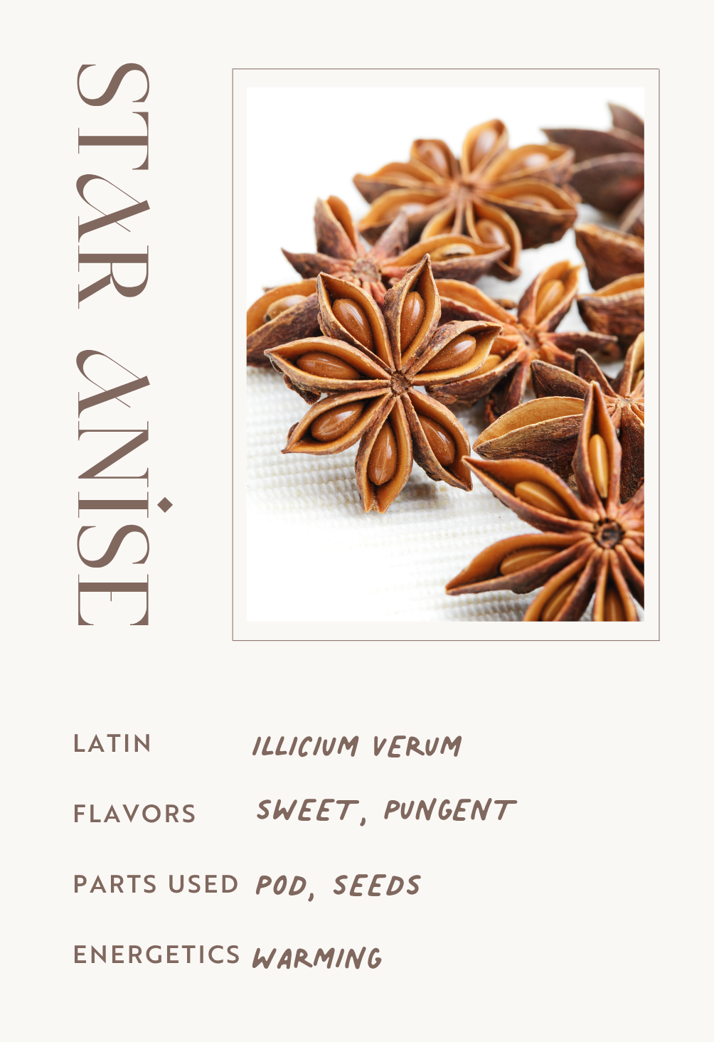Star Anise