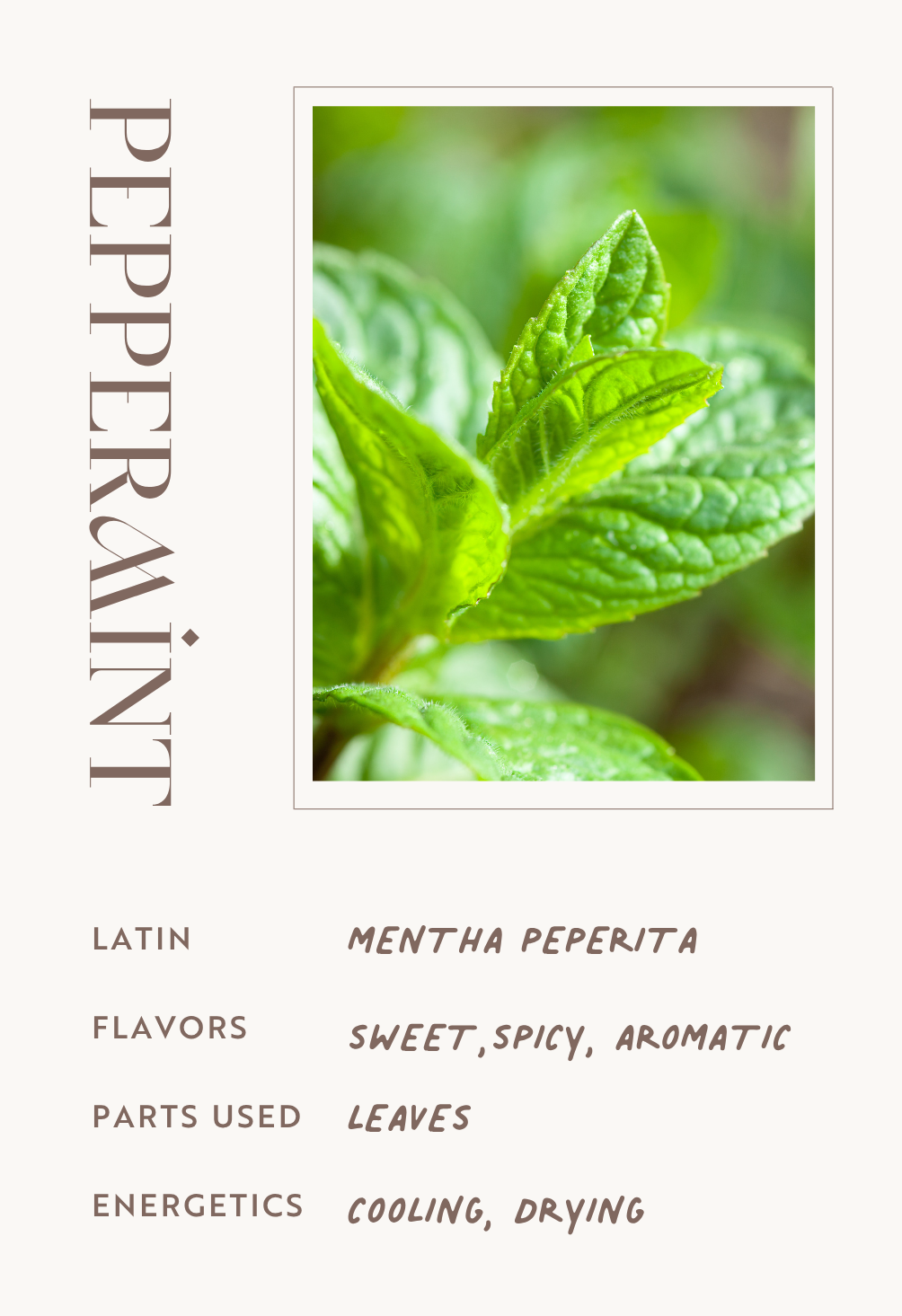 Peppermint